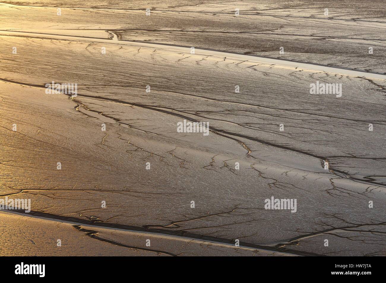 Francia, Vendee, L'Aiguillon sur Mer, grafica in l'Aiguillon bay a bassa marea (vista aerea) Foto Stock