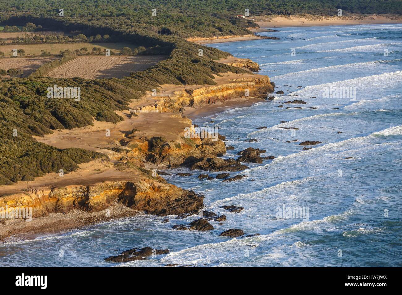 Francia, Vendee, Jard sur Mer, lavaggio onde contro la scogliera e alberi scolpiti dal vento (vista aerea) Foto Stock