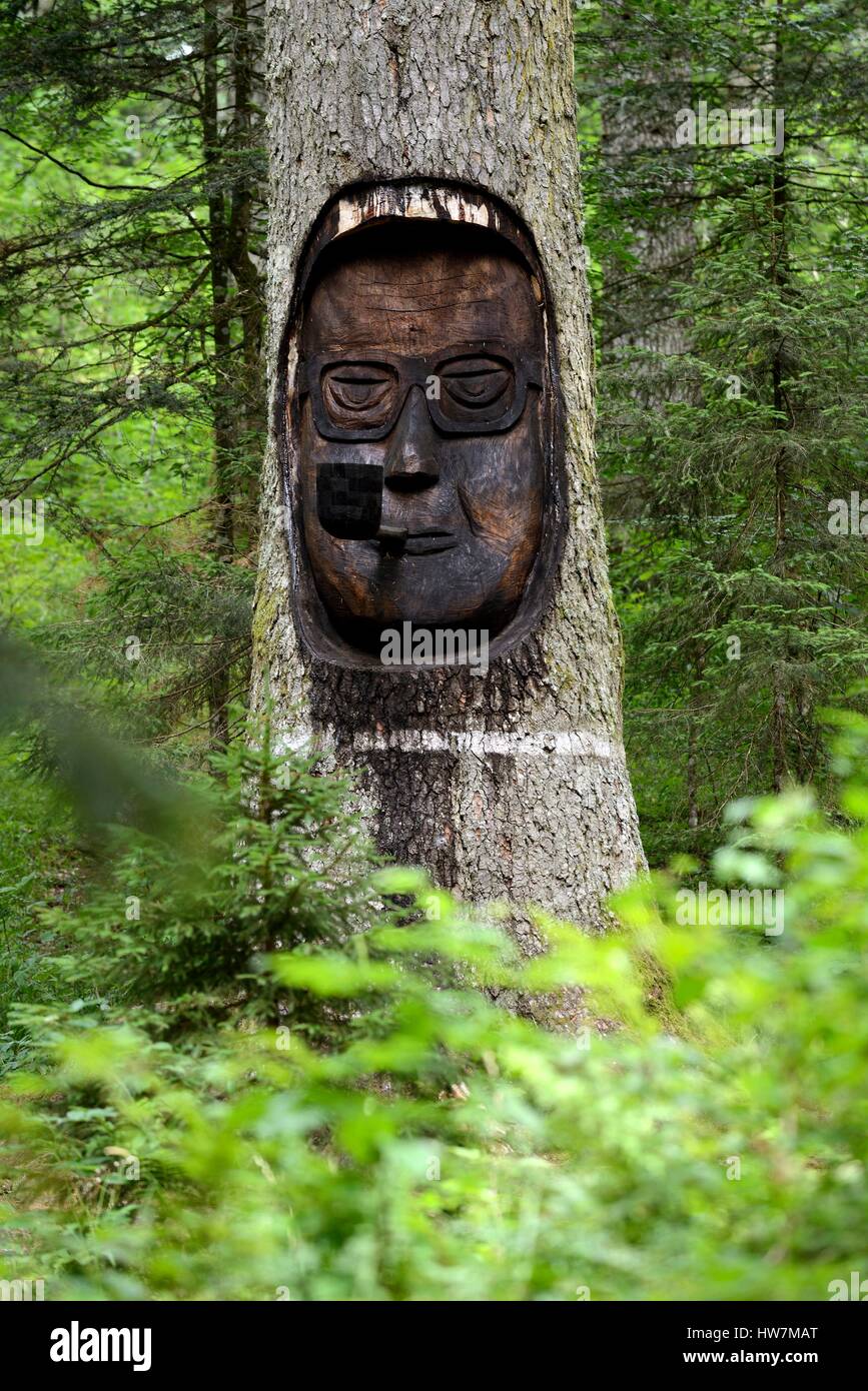 Francia, Doubs, Les Fourgs, foresta, Sapin Président Edgar Faure, albero età da 450 anni Foto Stock