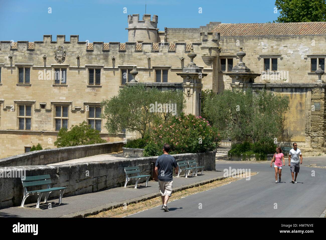 Francia, Vaucluse, Avignone, luogo di artiglieria, i pedoni a camminare in una strada con il Museo del Petit Palais in background Foto Stock