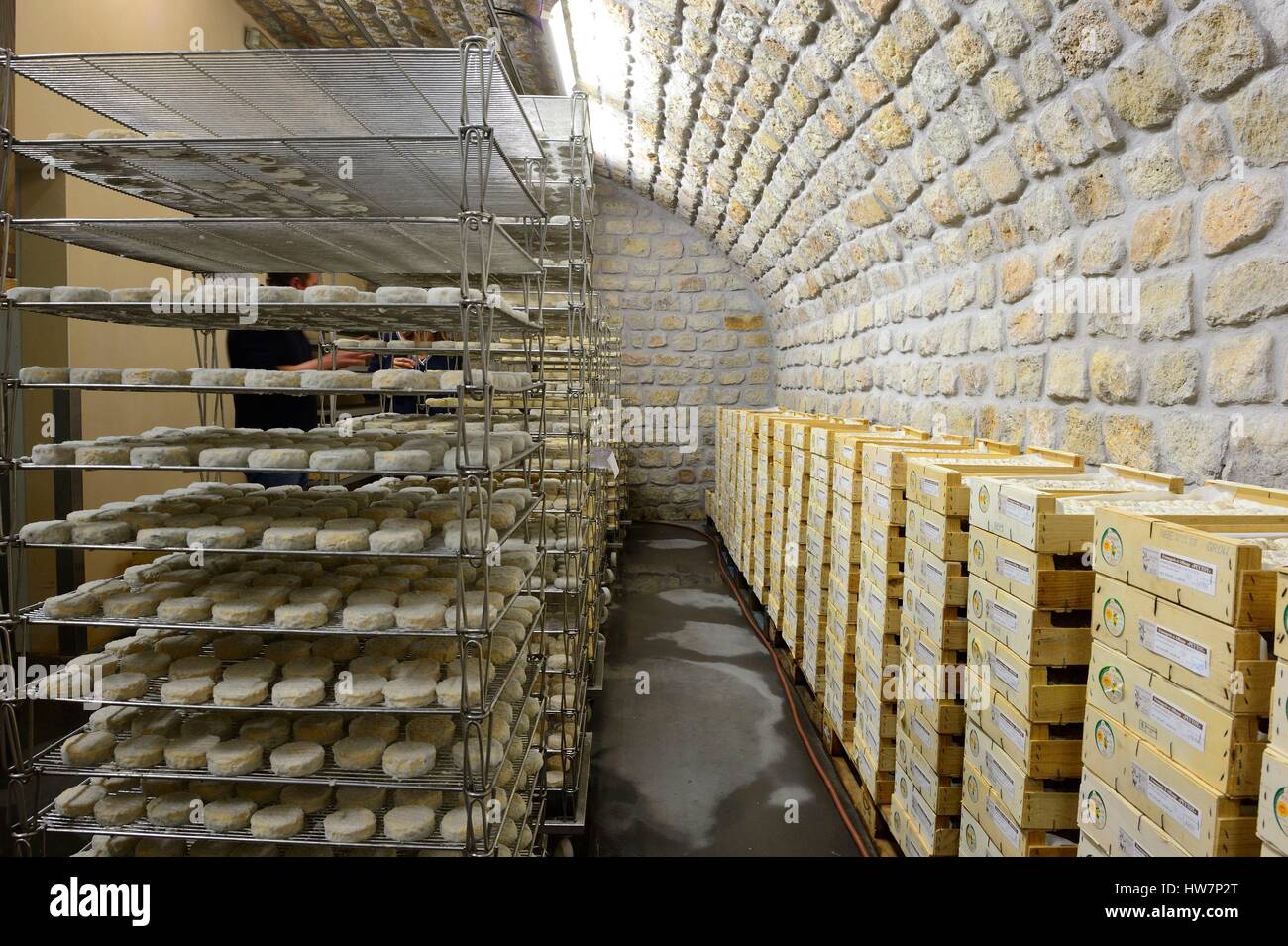 Francia, Ardeche, Planzolles, Peytot Terra Cabra, picodon, formaggio di capra Foto Stock