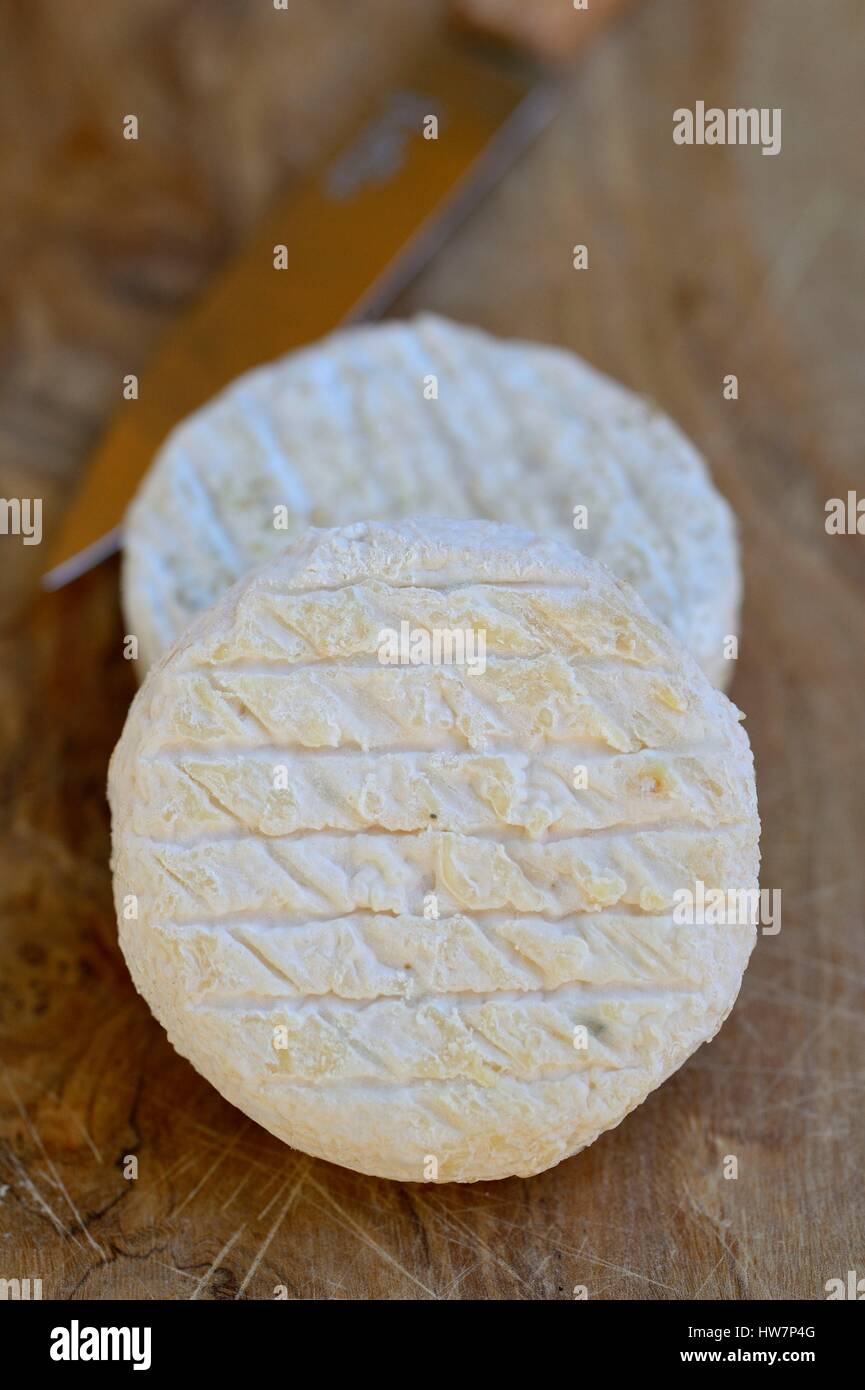 Francia, Ardeche, Monts d'Ardeche Parco Naturale Regionale, Joyeuse, picodon , formaggio di capra Foto Stock