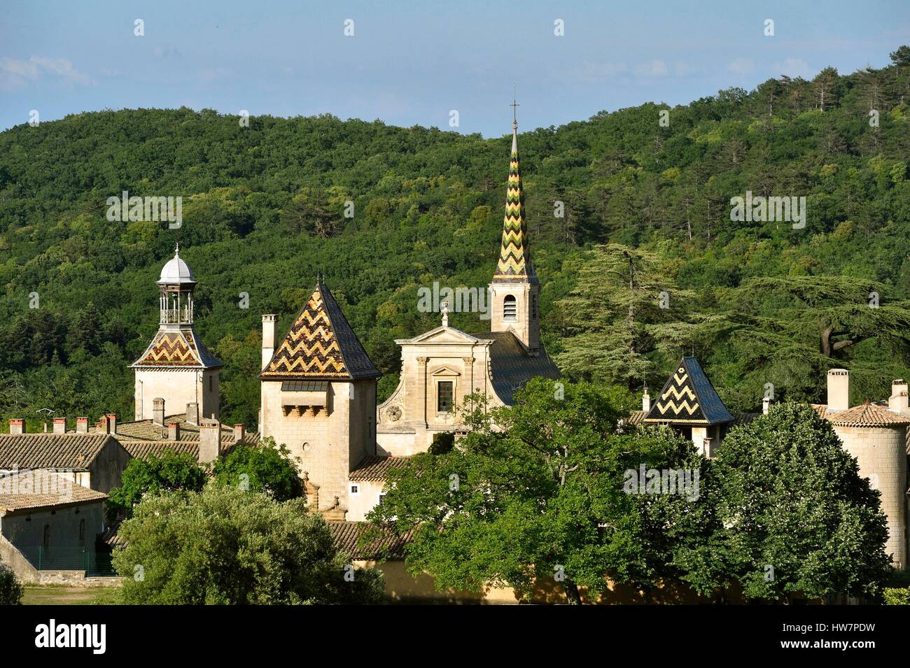 Francia, Gard, Saint Paulet de cassettone, Chartreuse de Valbonne (XIII secolo) monumento storico Foto Stock