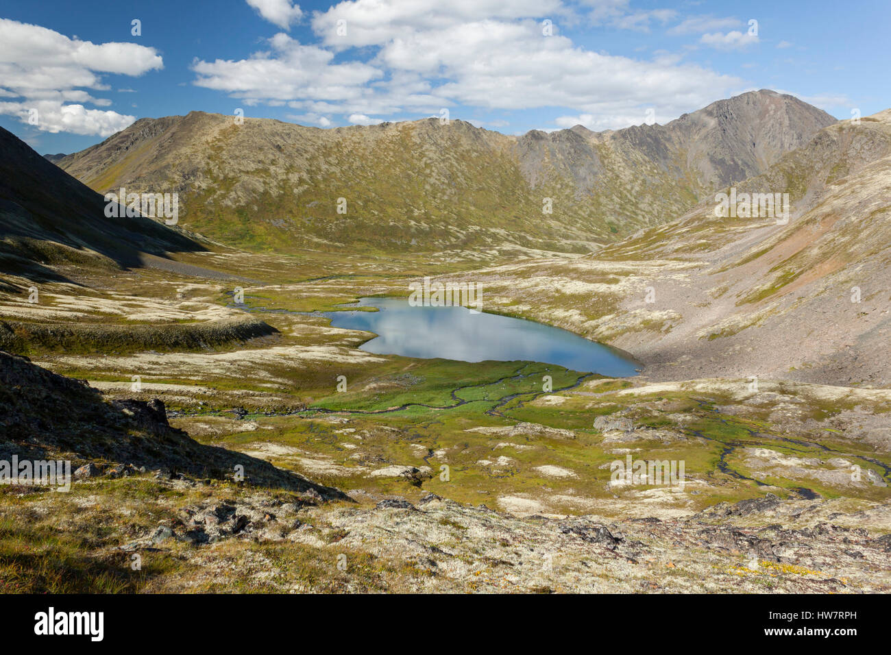 Tarn vicino al Summit Pass, Chugach National Forest, Alaska. Foto Stock