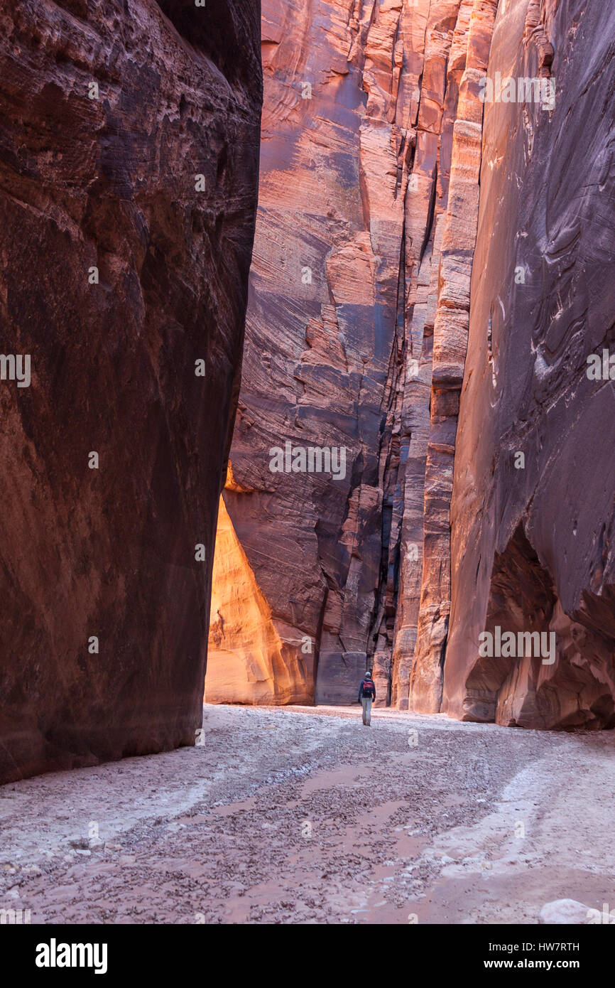 Escursioni attraverso Gulch daino, Paria deserto dello Utah. Foto Stock