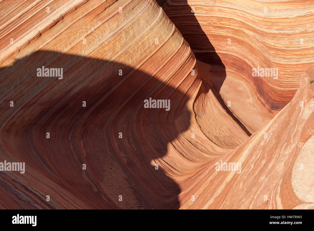 L'onda e North Coyote Buttes, confine Arizona-Utah. Foto Stock