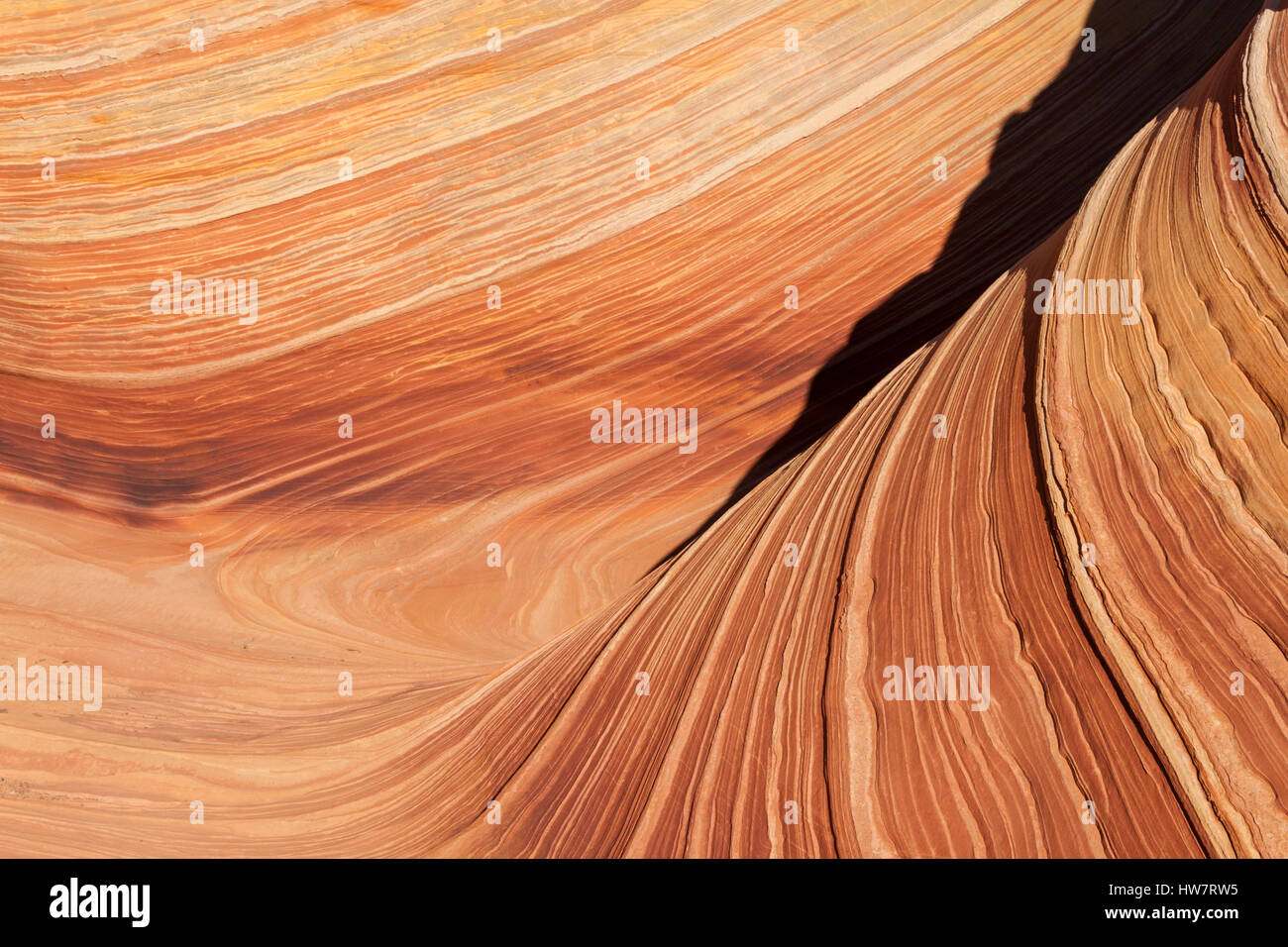 Dettaglio dell'onda, Paria Canyon-Vermillion Cliffs Wilderness, confine Arizona-Utah. Foto Stock