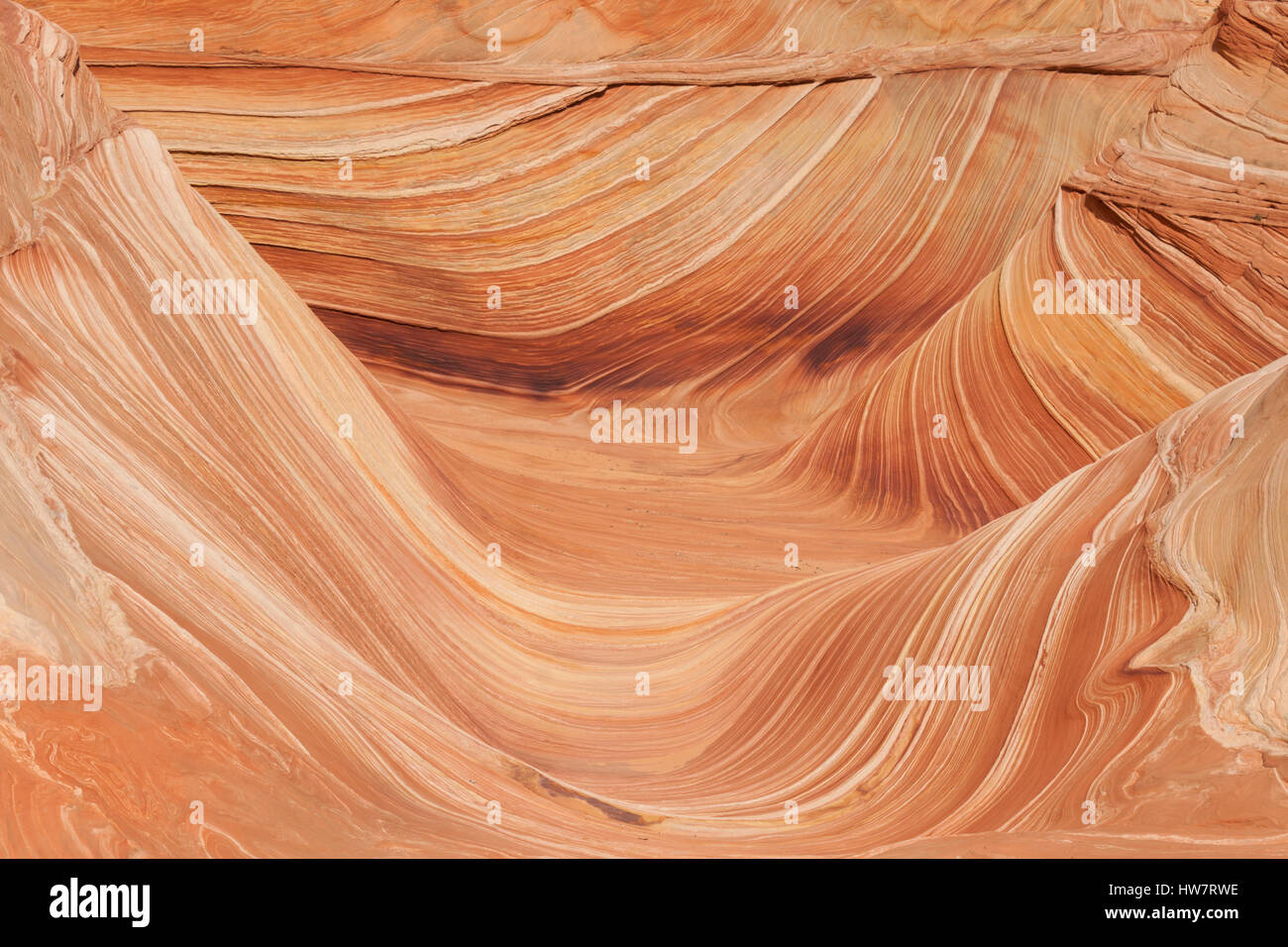 L'onda e North Coyote Buttes, confine Arizona-Utah. Foto Stock