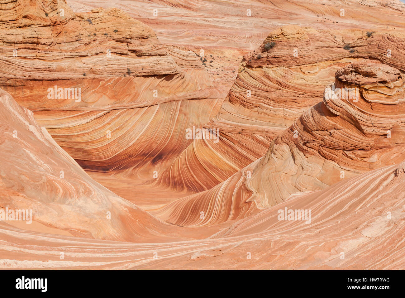 L'onda e North Coyote Buttes, confine Arizona-Utah. Foto Stock