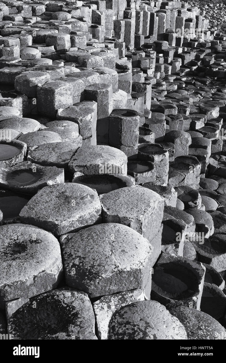 BUSHMILLS, IRLANDA DEL NORD- Ottobre 15, 2016: formazioni di basalto a Giant's Causeway. Foto Stock BUSHMILLS, IRLANDA DEL NORD- Ottobre 15, 2016: formazioni di basalto a Giant's Causeway. Foto Stock