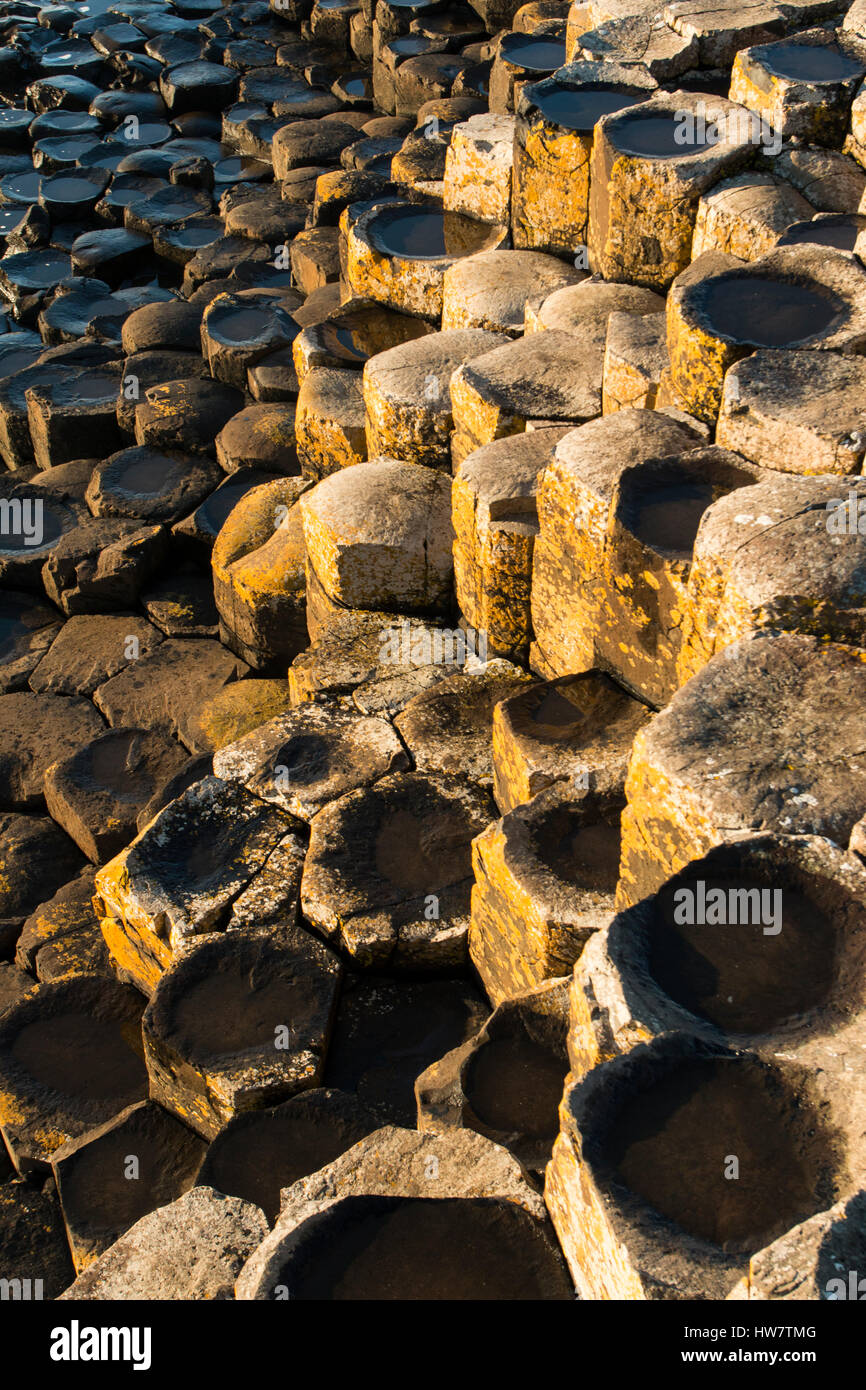 BUSHMILLS, IRLANDA DEL NORD- Ottobre 15, 2016: formazioni di basalto a Giant's Causeway. Foto Stock