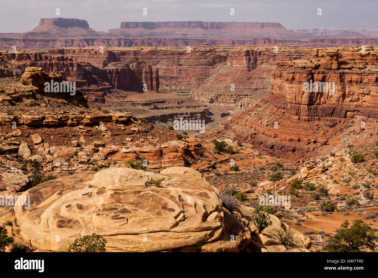Guarda l'Altopiano del Colorado, il Parco Nazionale di Canyonlands, UT. Foto Stock