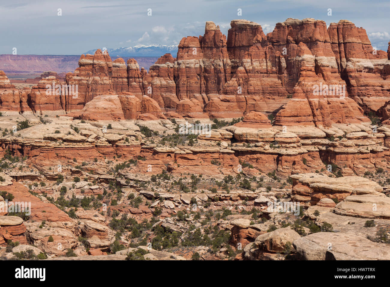 Le montagne e le formazioni rocciose nel distretto di aghi del Parco Nazionale di Canyonlands, UT. Foto Stock