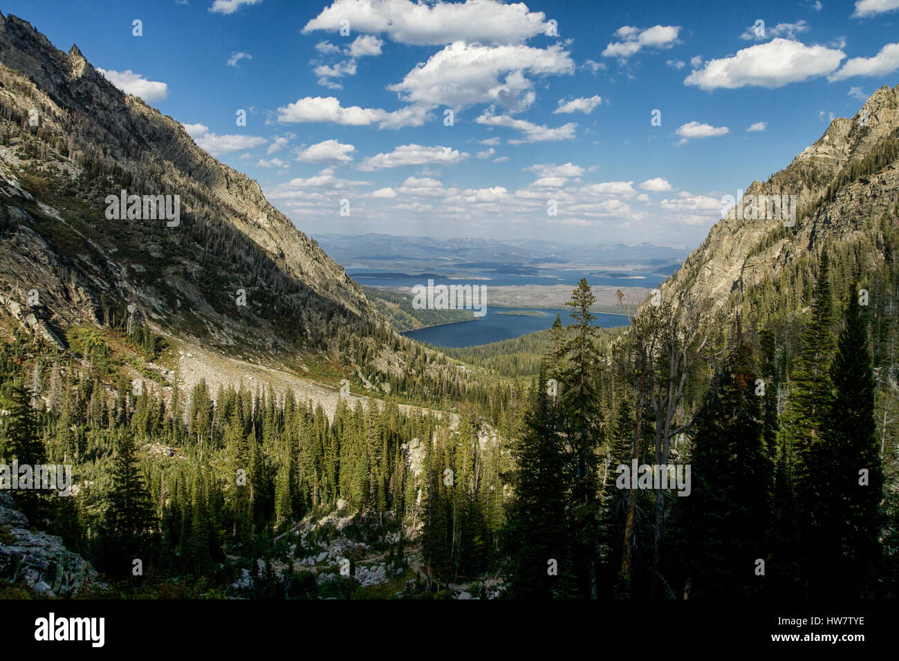 Jackson e Leigh Laghi dal pennello Canyon, il Parco Nazionale del Grand Teton, Wyoming. Foto Stock