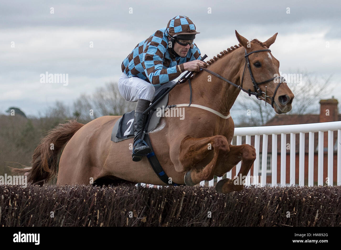 Punto a Punto, Parham, Sussex, Regno Unito sabato 18 marzo 2017 Brunswick Oro e Stuart Robinson vincere il St James's Palace Wealth management un J.Trumber Esq Sud Est dà la caccia ai membri del Club Le condizioni di gara per il signor S.C. Robinson e alla fine il dottor C Hargreaves credito : Michael Stevens / Alamy Live News Foto Stock