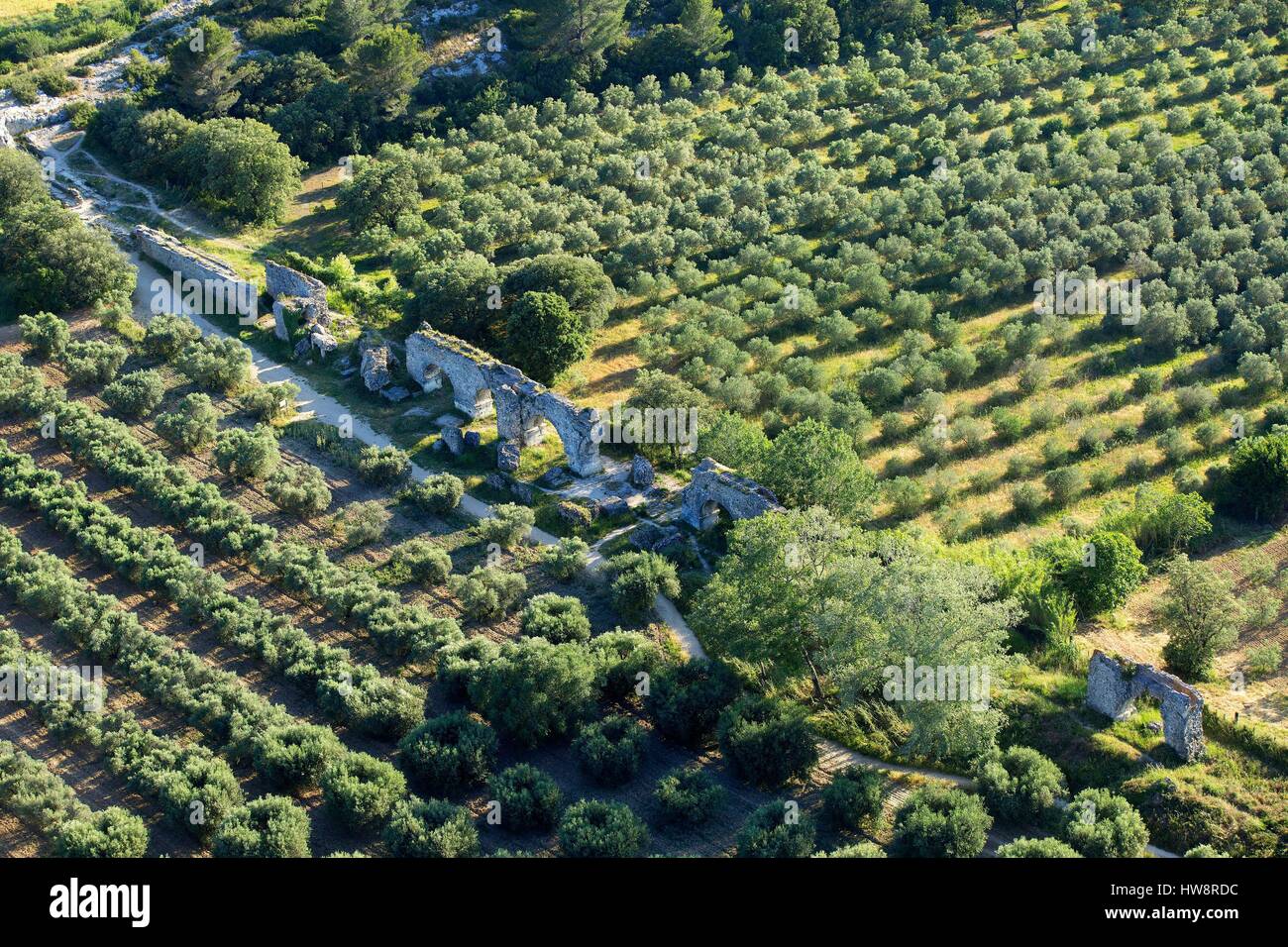 Francia, Bouches du Rhone, il Parco Naturale Regionale delle Alpilles, Fontvieille, resti dell'acquedotto romano Barbegal, Oliva (vista aerea) Foto Stock