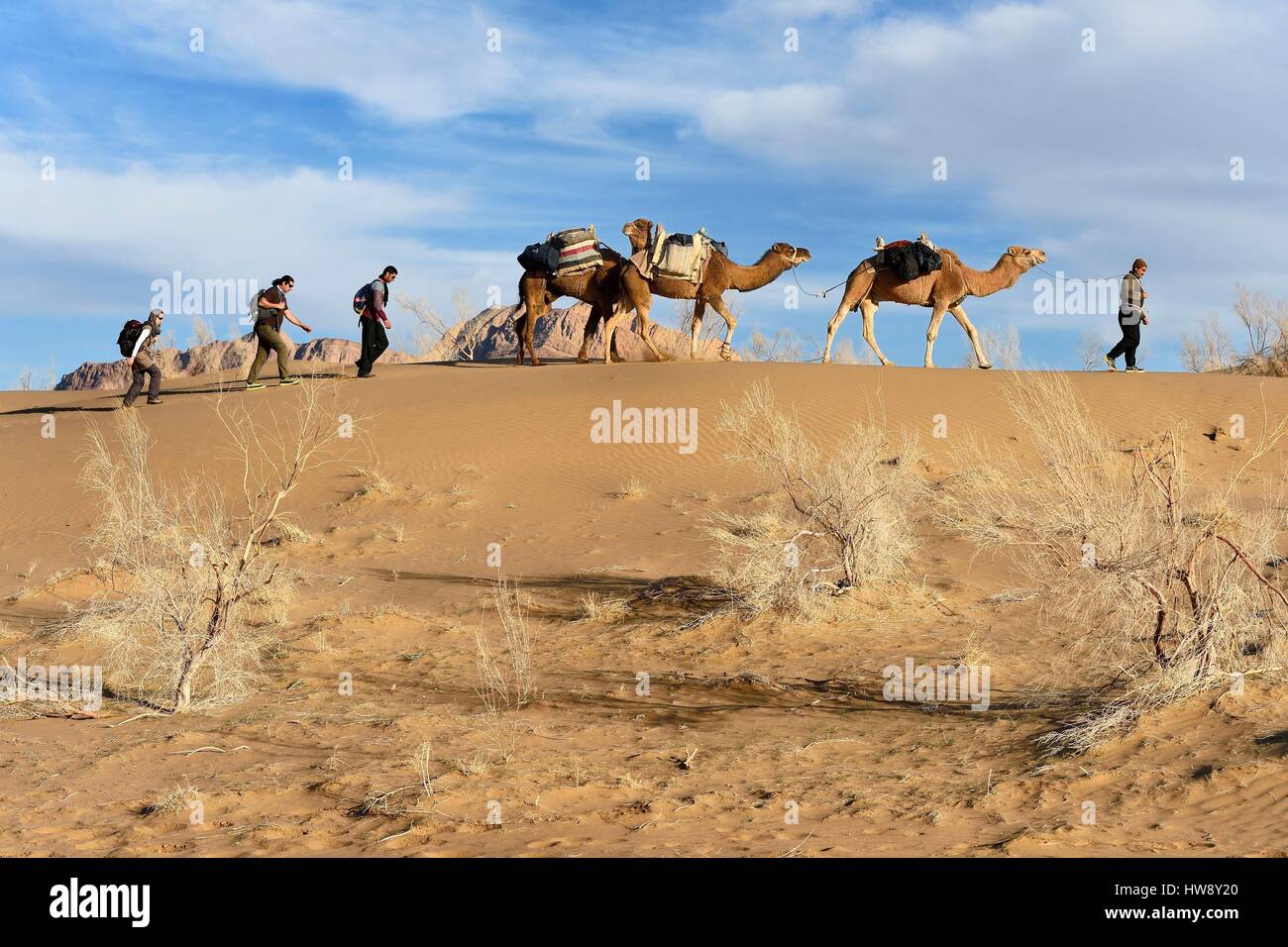 Iran, provincia di Isfahan, Dasht-e Kavir deserto, Mesr in Khur e Biabanak County, camel train in un cammello trek Foto Stock