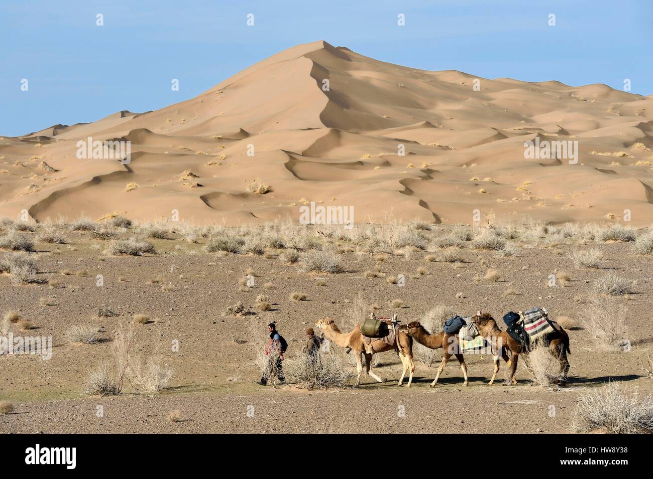 Iran, provincia di Isfahan, Dasht-e Kavir deserto, Mesr in Khur e Biabanak County, camel train passando ai piedi delle dune di sabbia Foto Stock