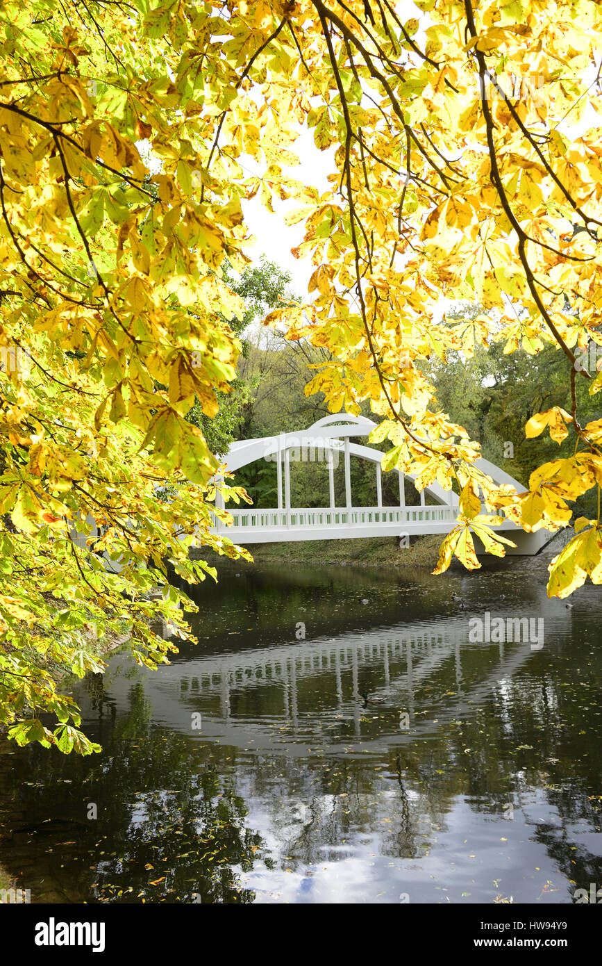 Swidnica, Polska, Polonia, Slesia, dolny slask, architettura, viaggio,central park, l'autunno, bellezza, all'aperto, Foto Stock