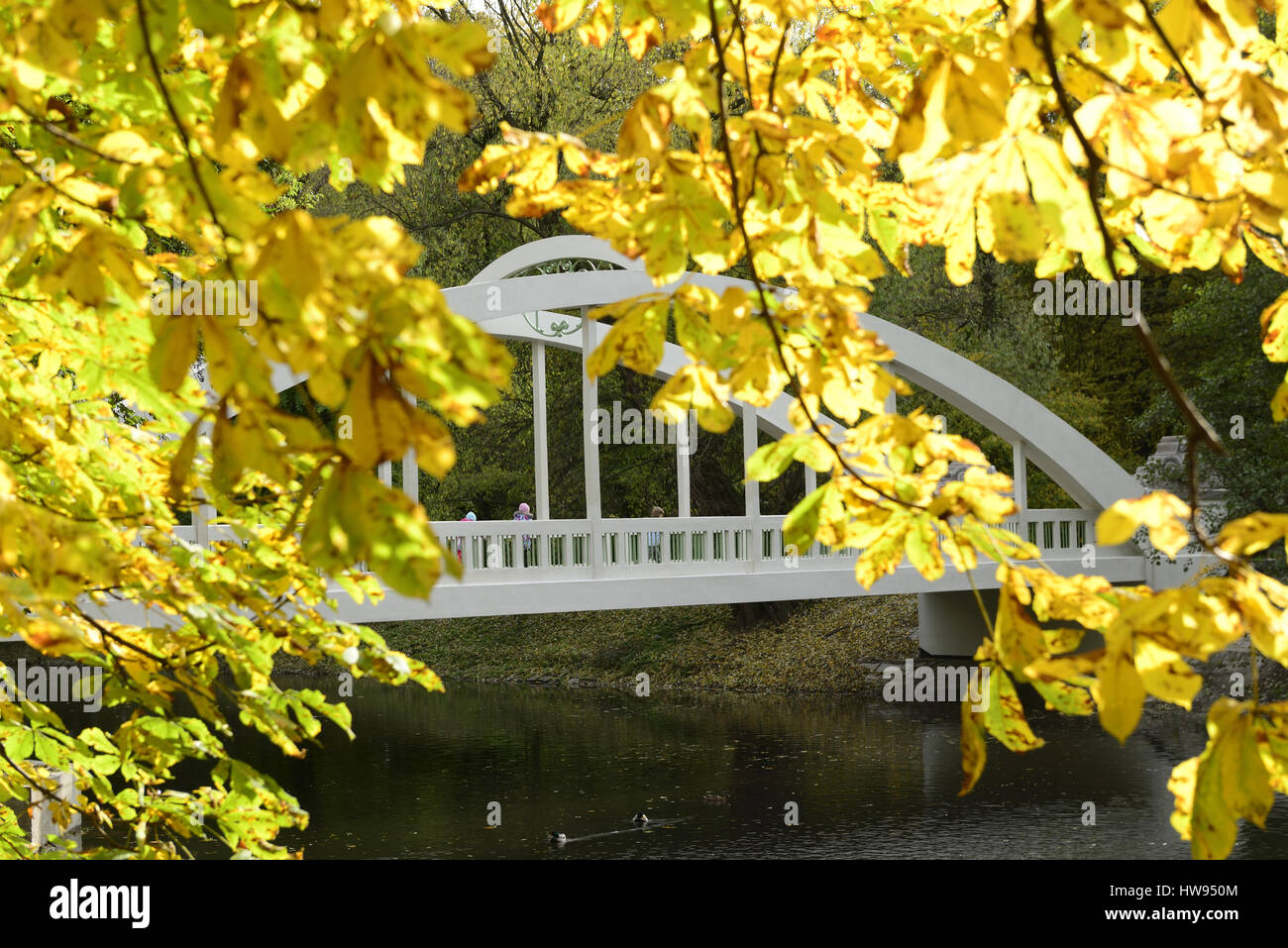 Swidnica, Polska, Polonia, Slesia, dolny slask, architettura, viaggio,central park, l'autunno, bellezza, all'aperto, Foto Stock