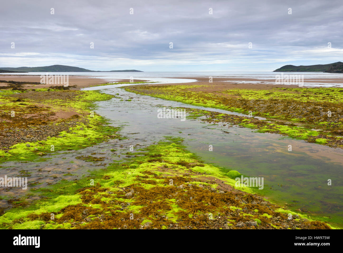 La bassa marea su una spiaggia con alghe marine, tra Paisley e Mungasdale, Costa Atlantica, Scotland, Regno Unito Foto Stock