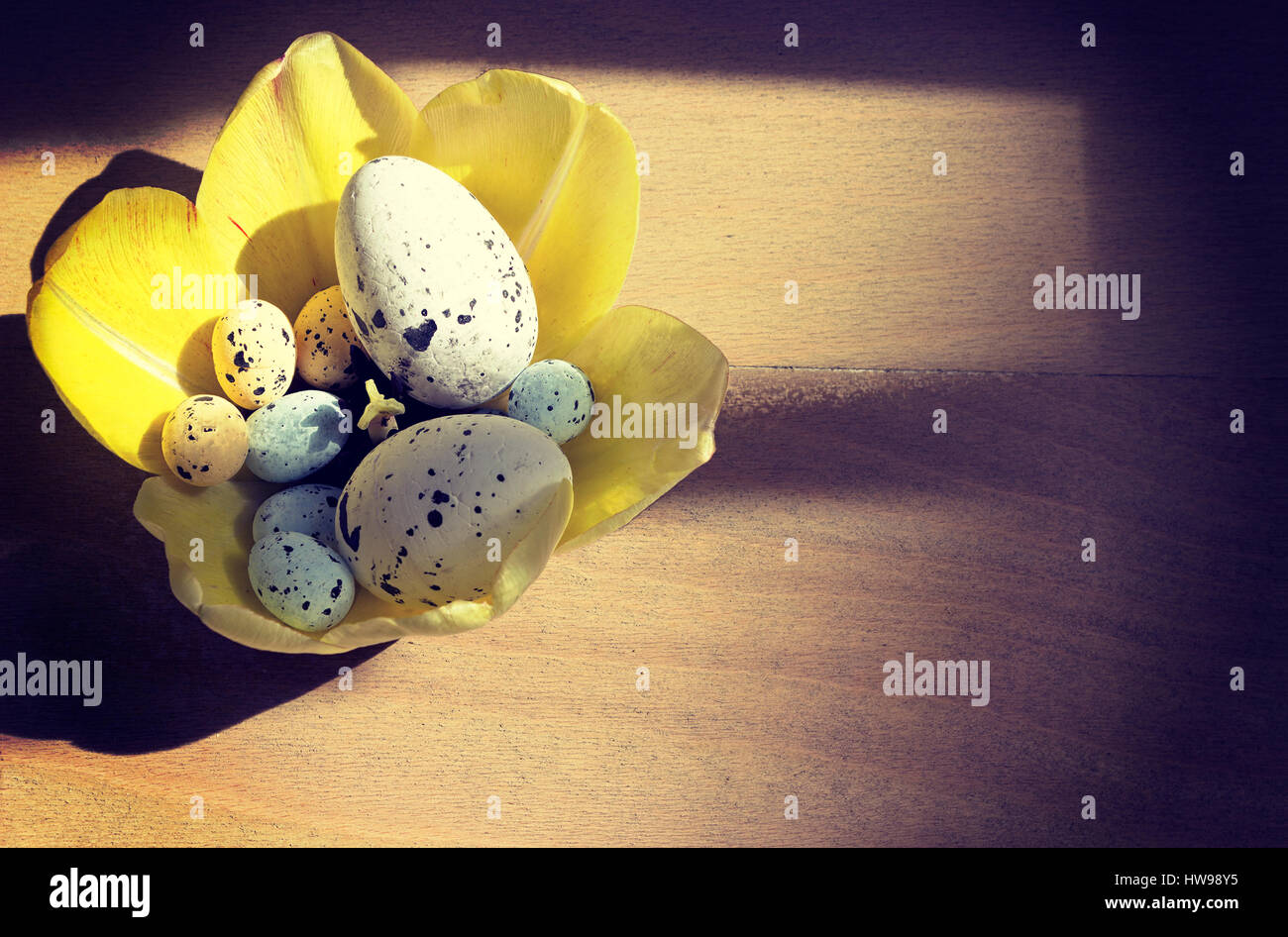 Tulipano giallo e le uova in un nido su tavola di legno, sullo sfondo di Pasqua Foto Stock