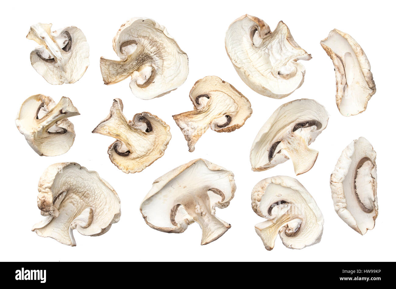 Funghi secchi isolati su sfondo bianco Foto Stock