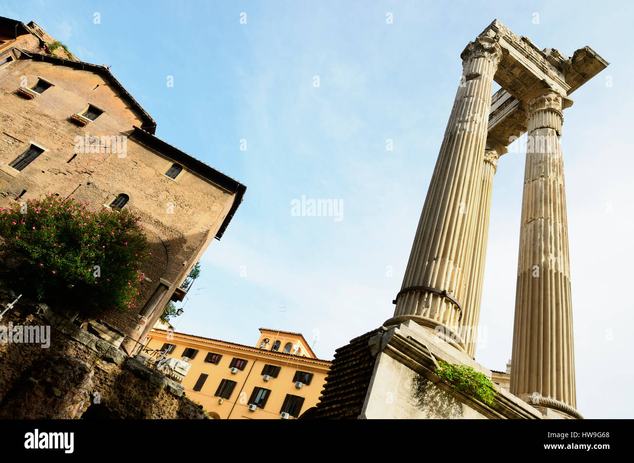 Tempio di apollo a circo immagini e fotografie stock ad alta
