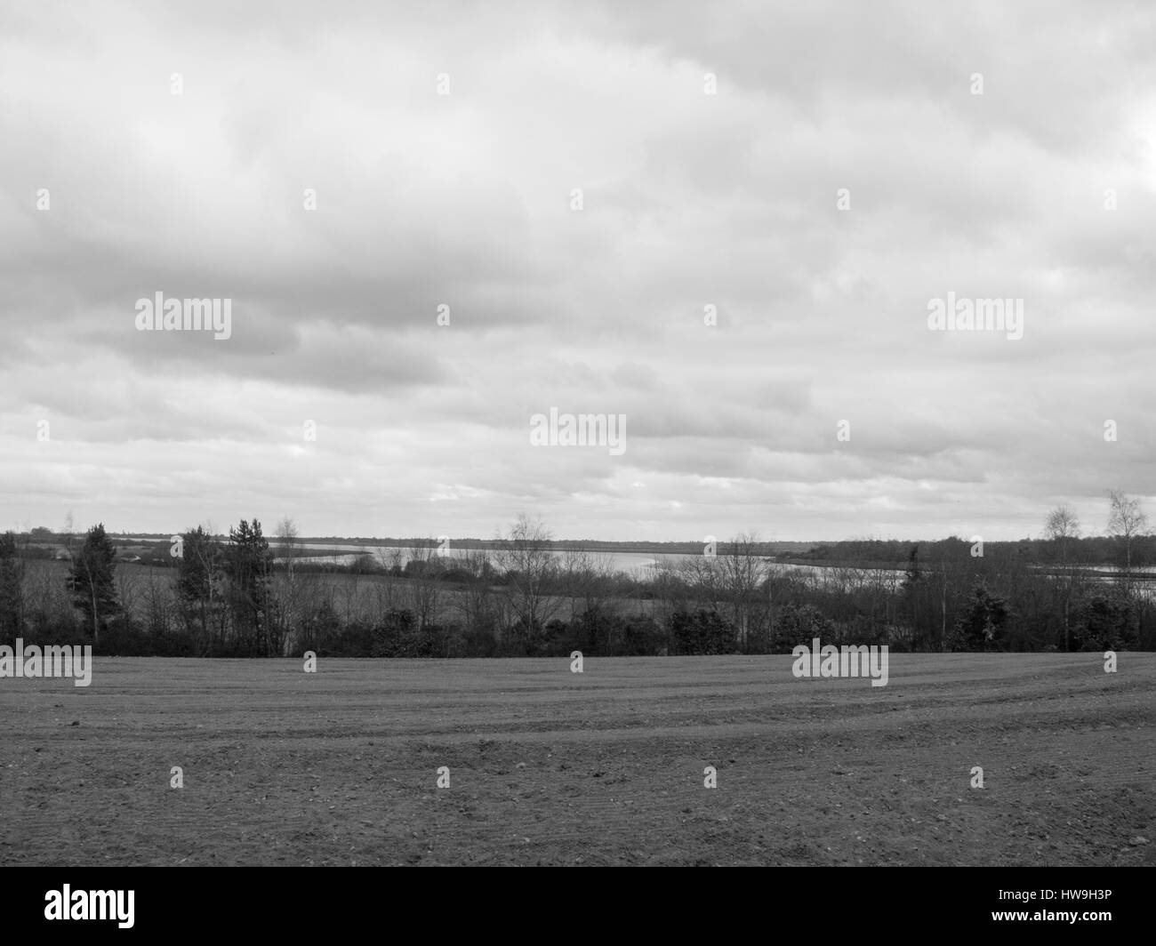 Un campo di raccolto pieno di suolo, in procinto di essere cresciuti su Foto Stock