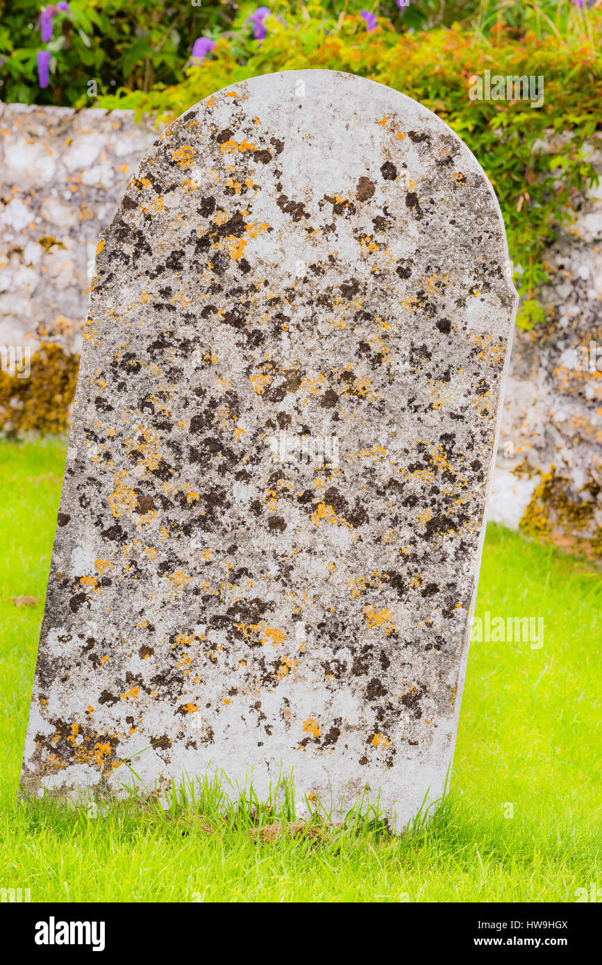 Antiche lapidi e croci celtiche a Clonmacnoise insediamento monastico nella Contea di Offaly. Foto Stock