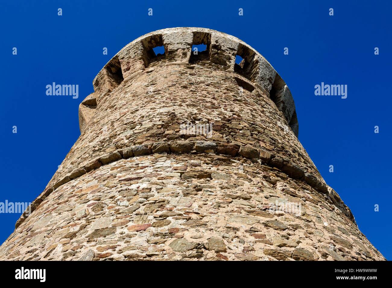 Francia, Corse du Sud, Zonza, Fautea torre genovese Foto Stock