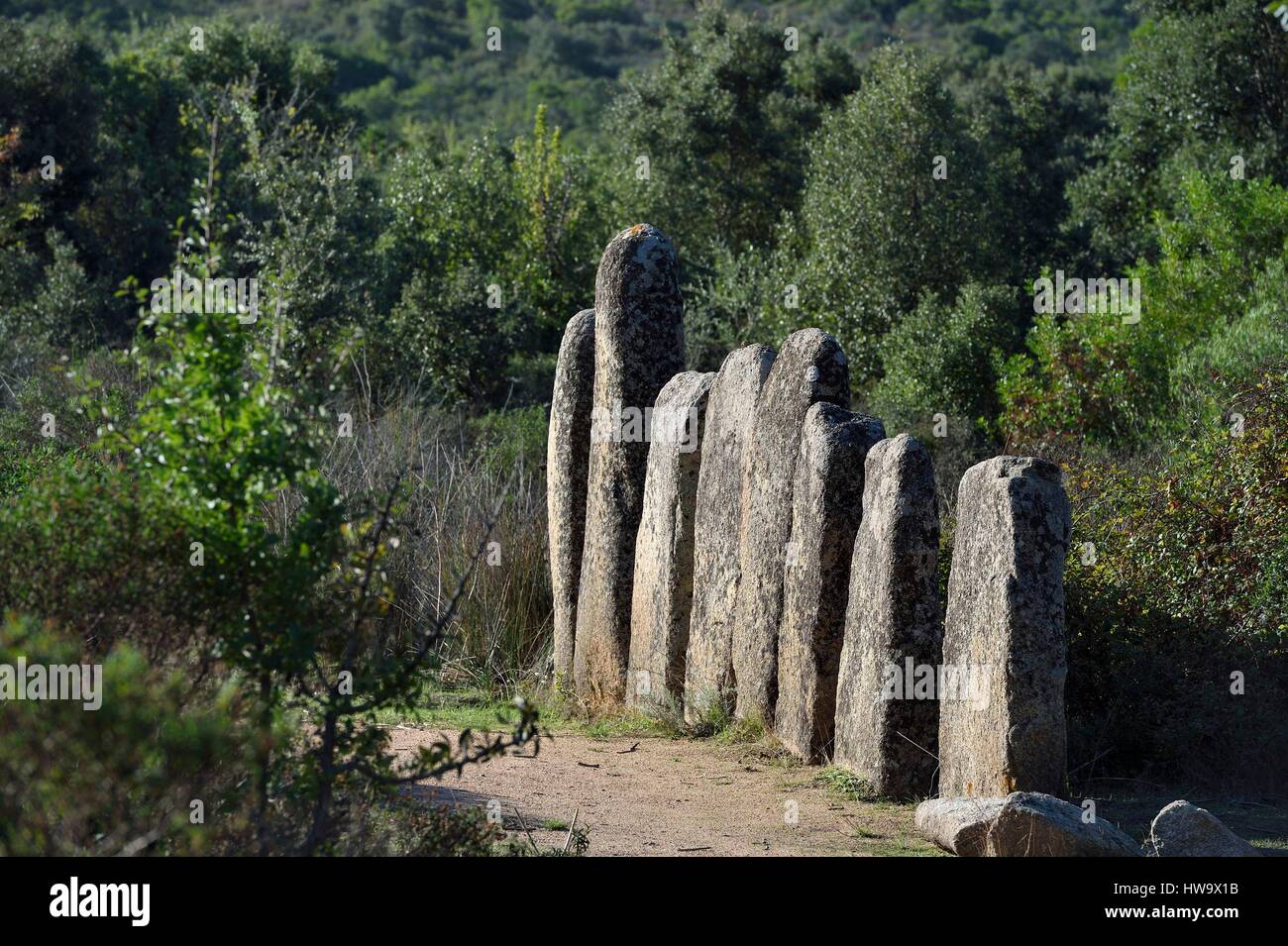 Francia, Corse du Sud, Sartène, allineamento di menhir di Palaggiu (Pagliaju), eretto tra il 1900 e il 1000 A.C. con la sua 258 menhir, è il più importante della regione mediterranea Foto Stock