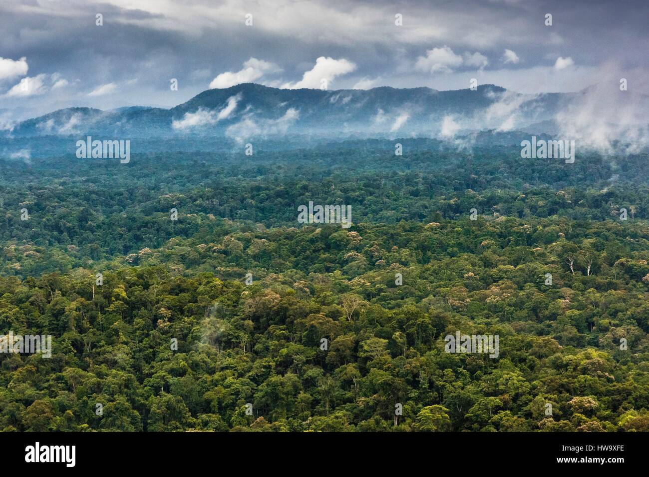 Francia, Guyana Guyana Francese Parco amazzonico, area del cuore, la stagione delle piogge, la pianura amazzonica, le sue nebbie e le tempeste dall'elicottero per il trasporto della missione scientifica Itoupe (vista aerea) Foto Stock