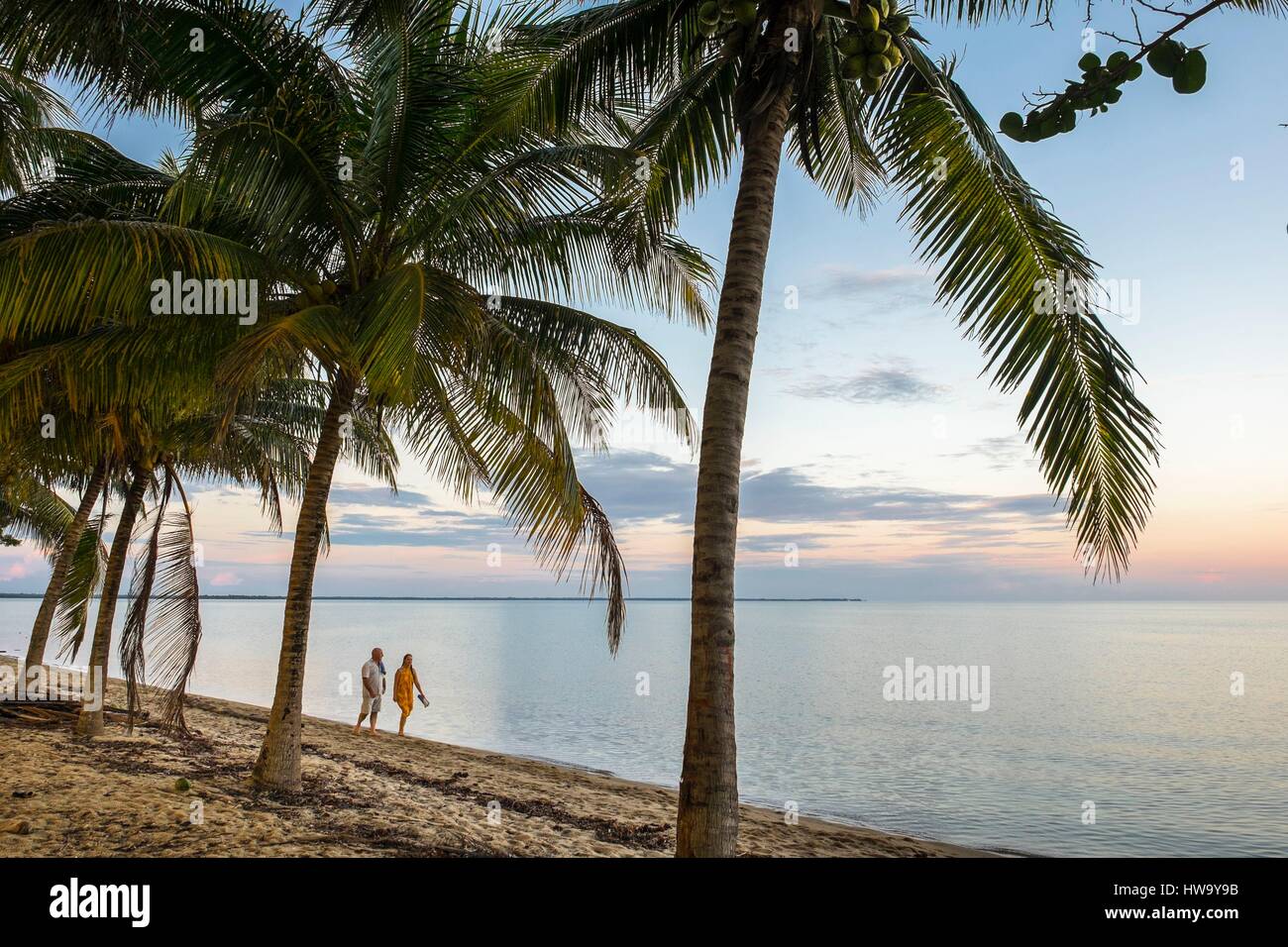 Belize, Stann Creek district, Hopkins, garifuna piccolo villaggio di pescatori e la spiaggia Foto Stock