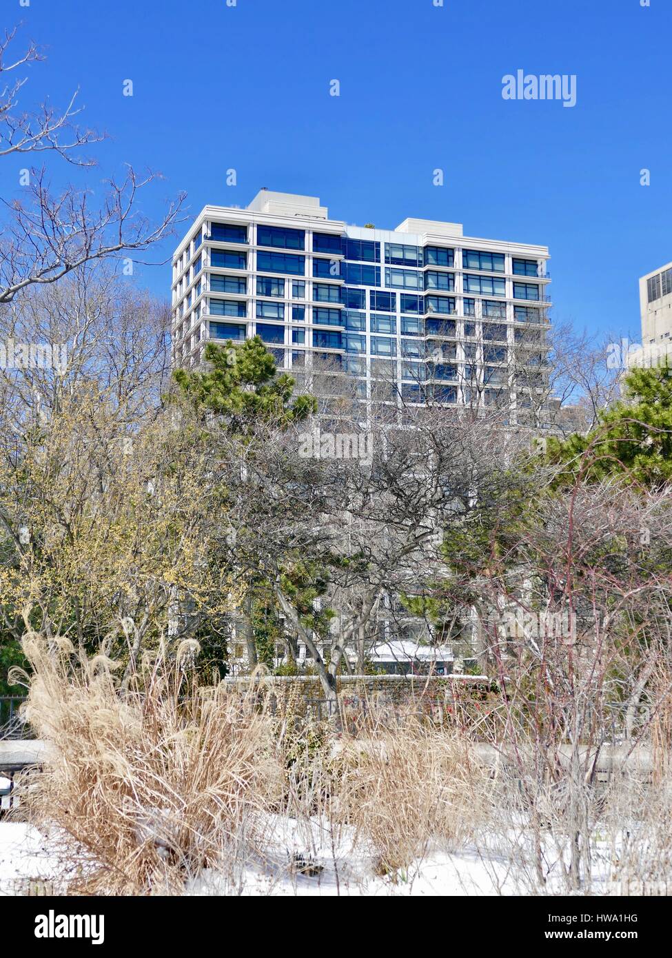 Cielo blu su un alto edificio con vegetazione in primo piano lungo la East River, Upper Eastside, New York New York, Stati Uniti d'America Foto Stock