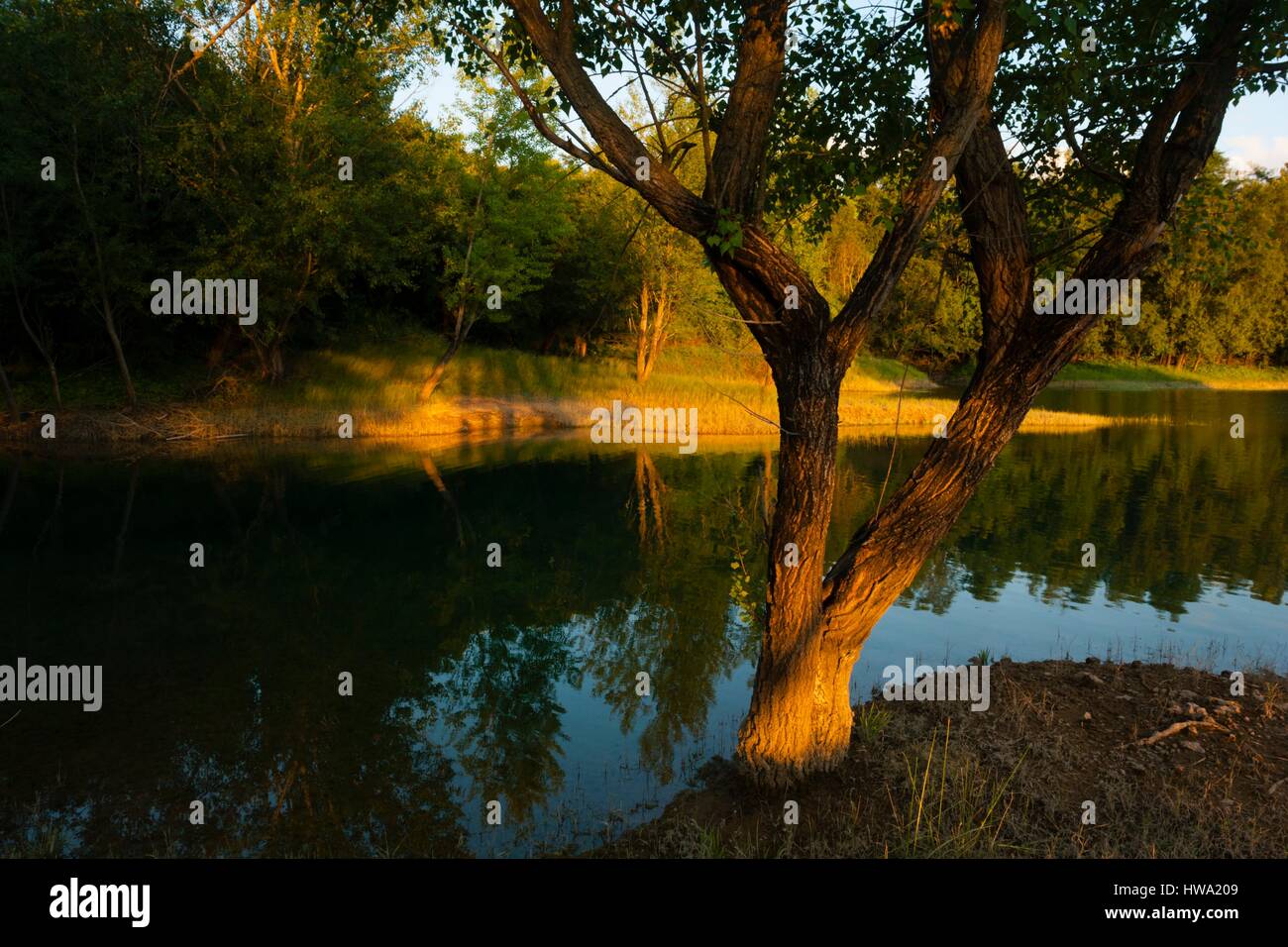 Sereno tramonto sul tranquillo lago Perucco jezero Peruca lago in Croazia piuttosto aka arte fotogenica vegetazione fogliame sogno momento Foto Stock