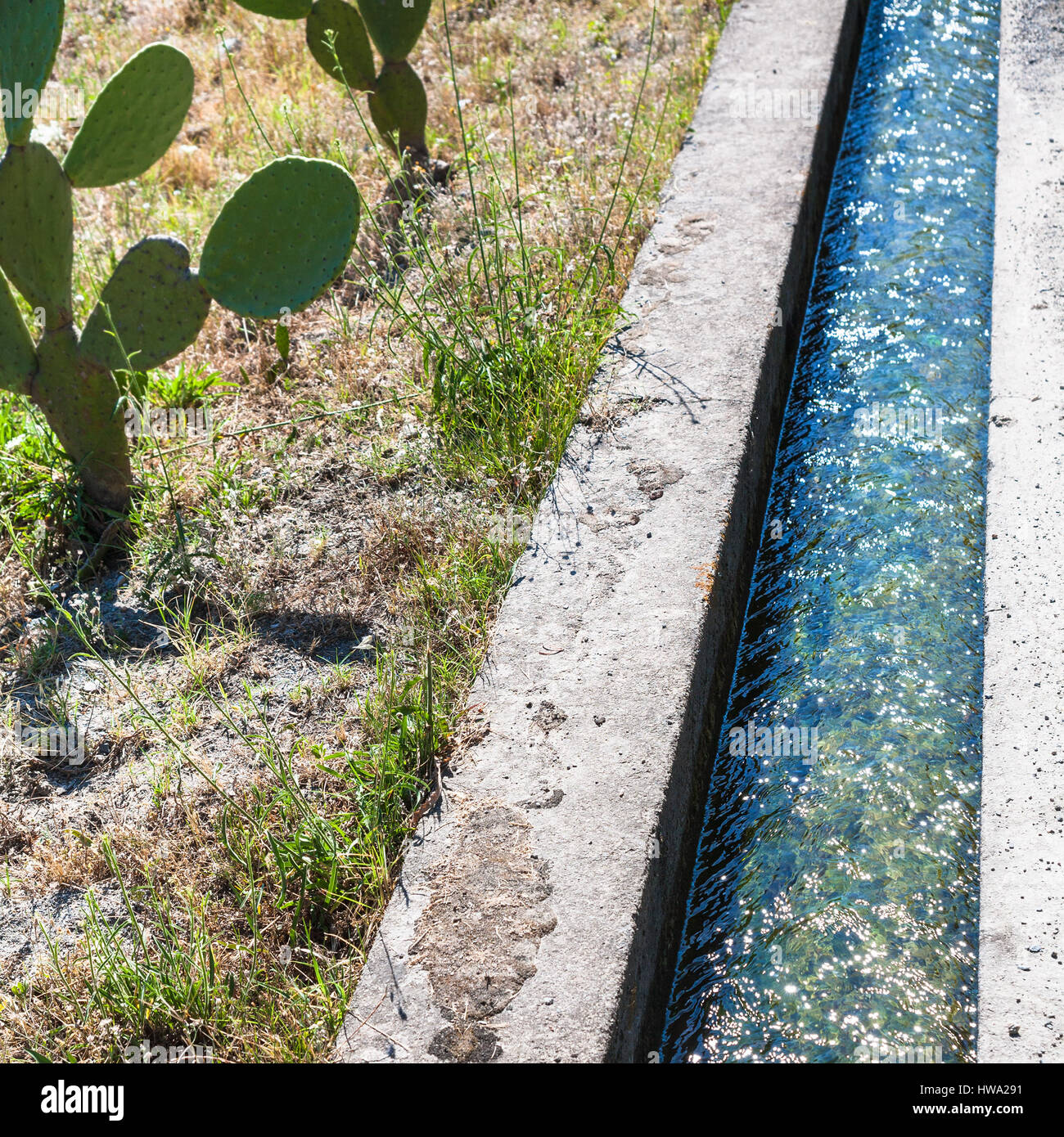 Turismo agricolo in Italia - cactus e il fosso di irrigazione in Sicilia Foto Stock