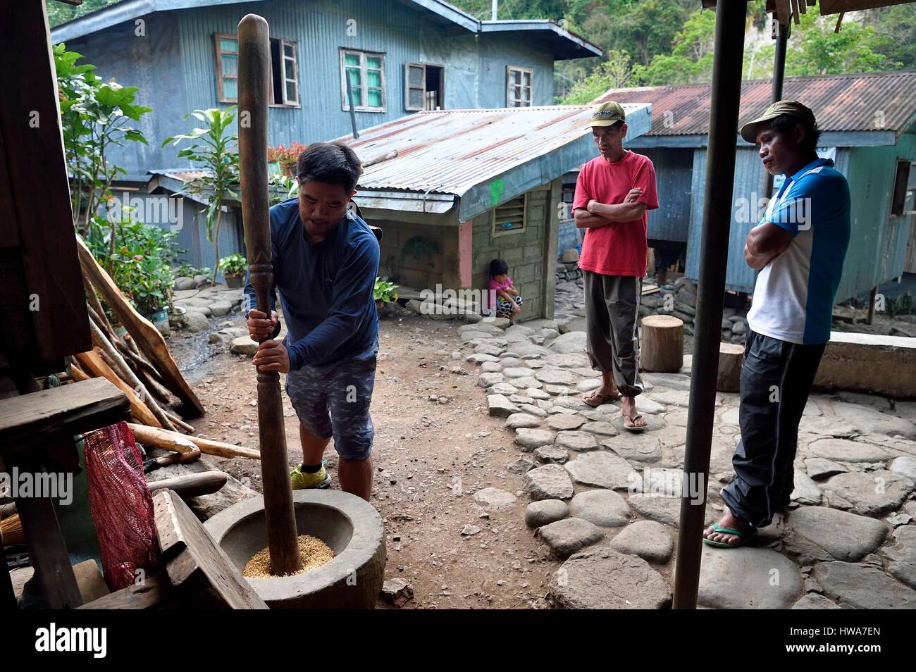 Filippine, Ifugao provincia, regione di Banaue, villaggio di Cambulo, la trebbiatura del riso con un pestello Foto Stock
