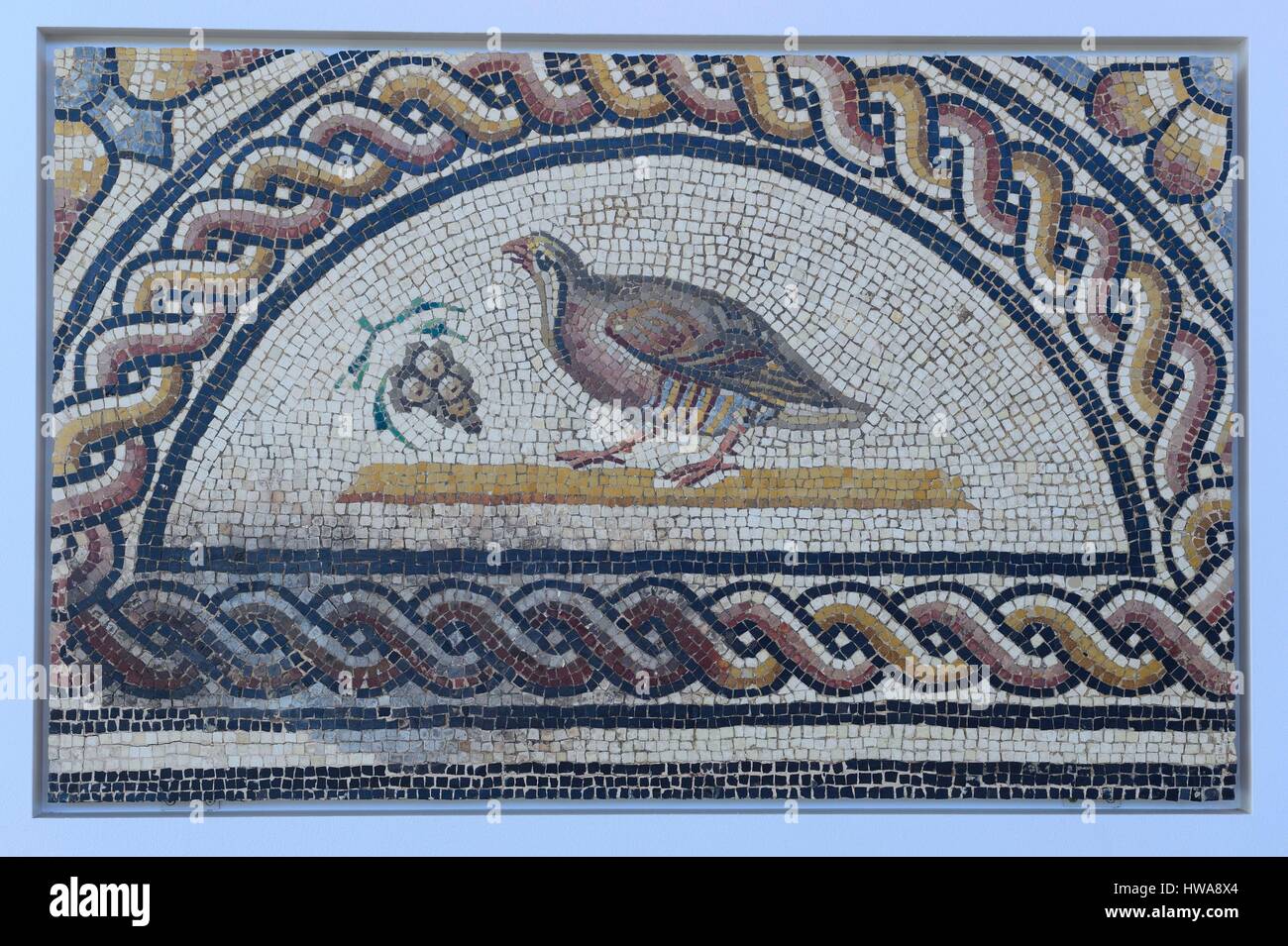 Francia, Rhone, Saint Romain en Gal, il Museo Gallo-Romano di Saint-Romain-en-Gal sito archeologico, mosaico romano risalente al secondo secolo D.C. Foto Stock