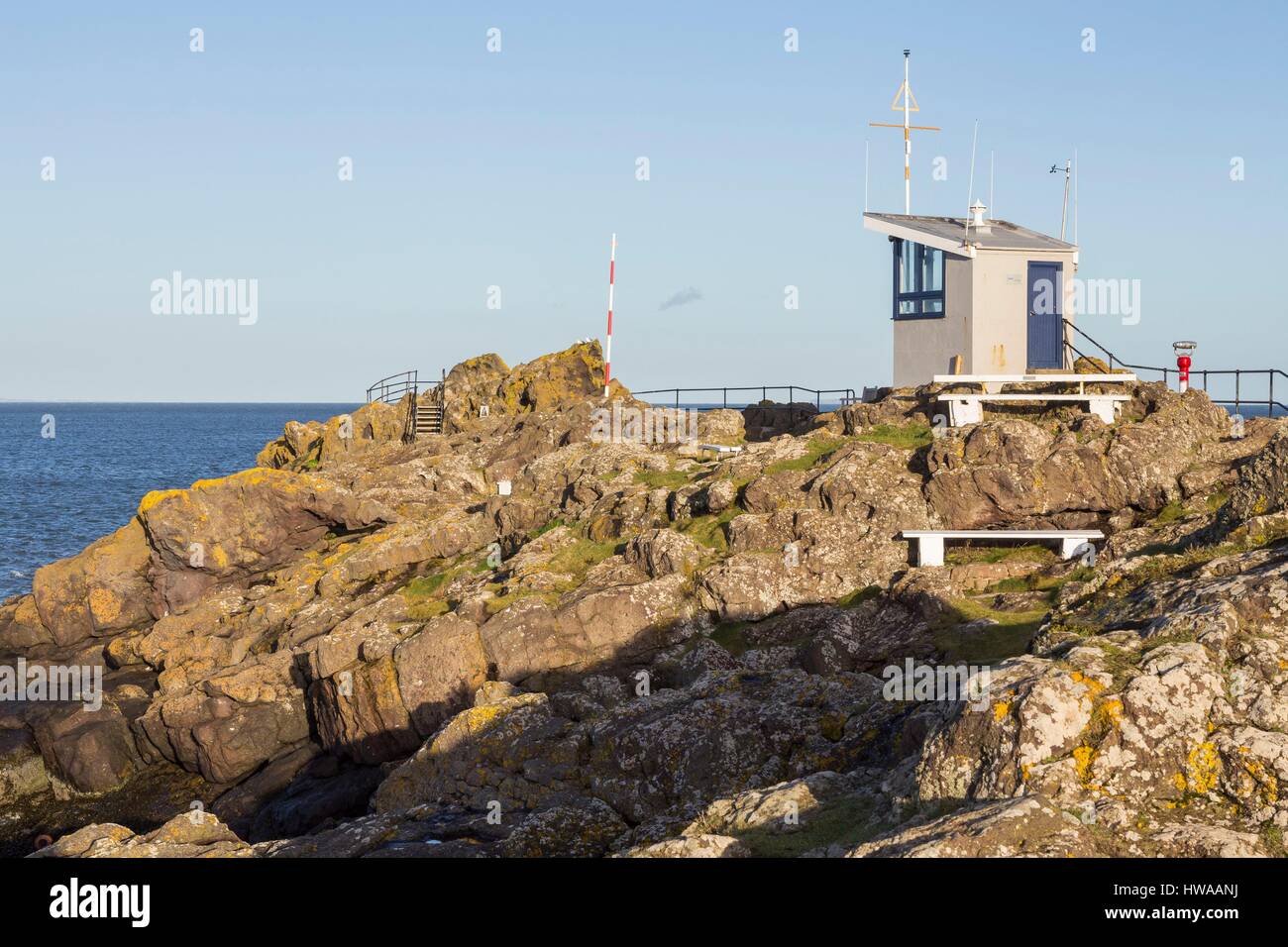 Regno Unito, Scozia, East Lothian, North Berwick, Scozzese Centro di uccello Foto Stock