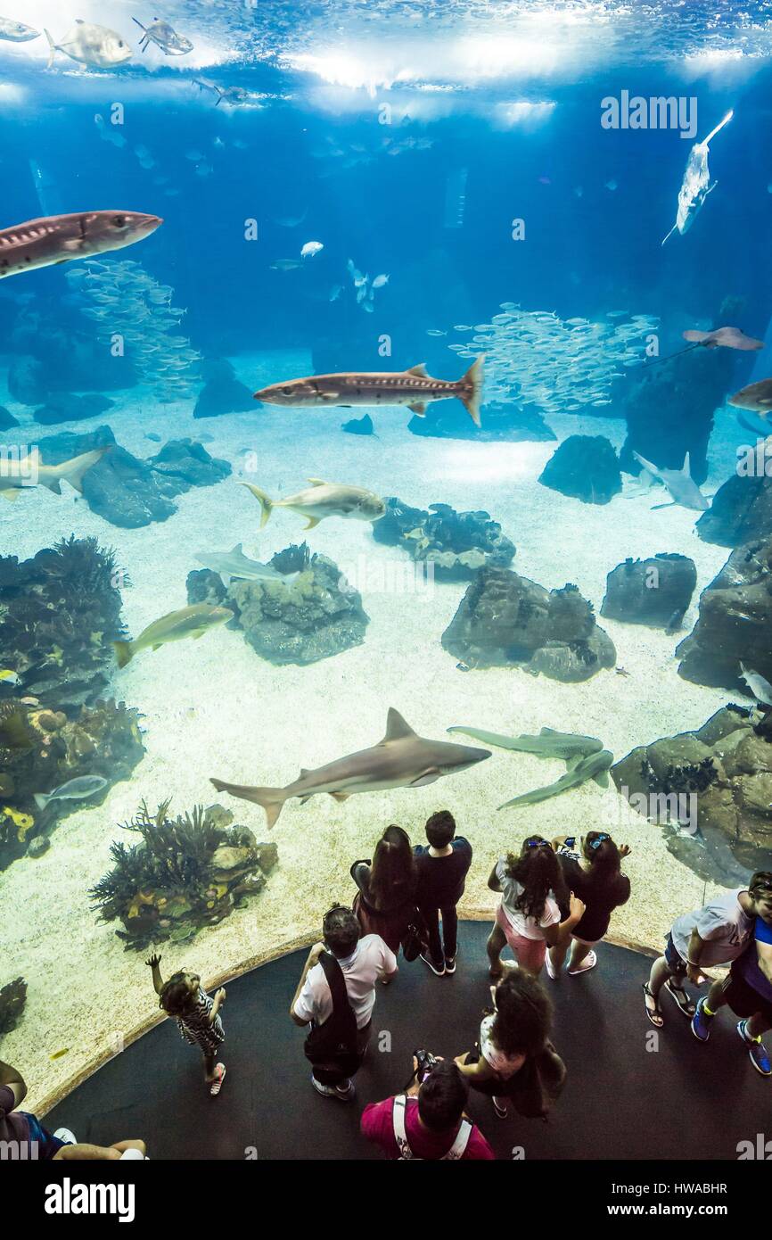 Il Portogallo, Lisbona, Parque das Nacoes (Nazioni' Park) costruito per l'Expo Universale 98 Esposizione Mondiale, Oceanario (Oceanarium), l'acquario Foto Stock