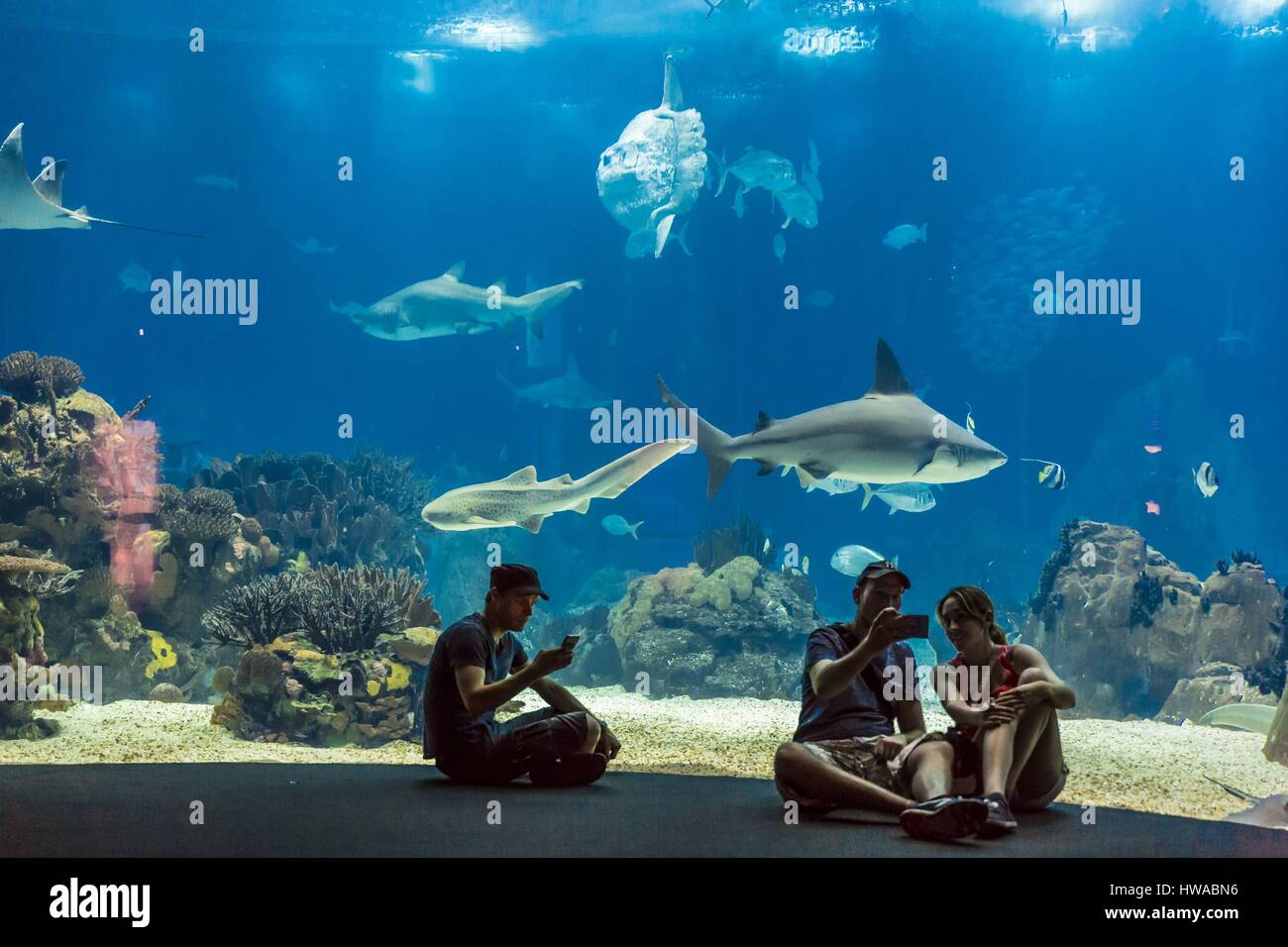 Il Portogallo, Lisbona, Parque das Nacoes (Nazioni' Park) costruito per l'Expo Universale 98 Esposizione Mondiale, Oceanario (Oceanarium), l'acquario Foto Stock