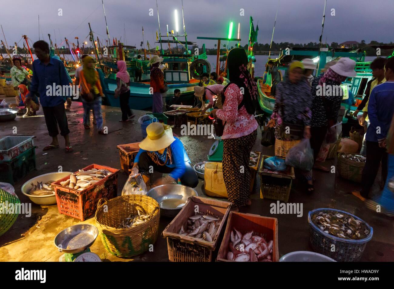 Cambogia, Kampot provincia, Kampot, mercato di pesca di notte Foto Stock