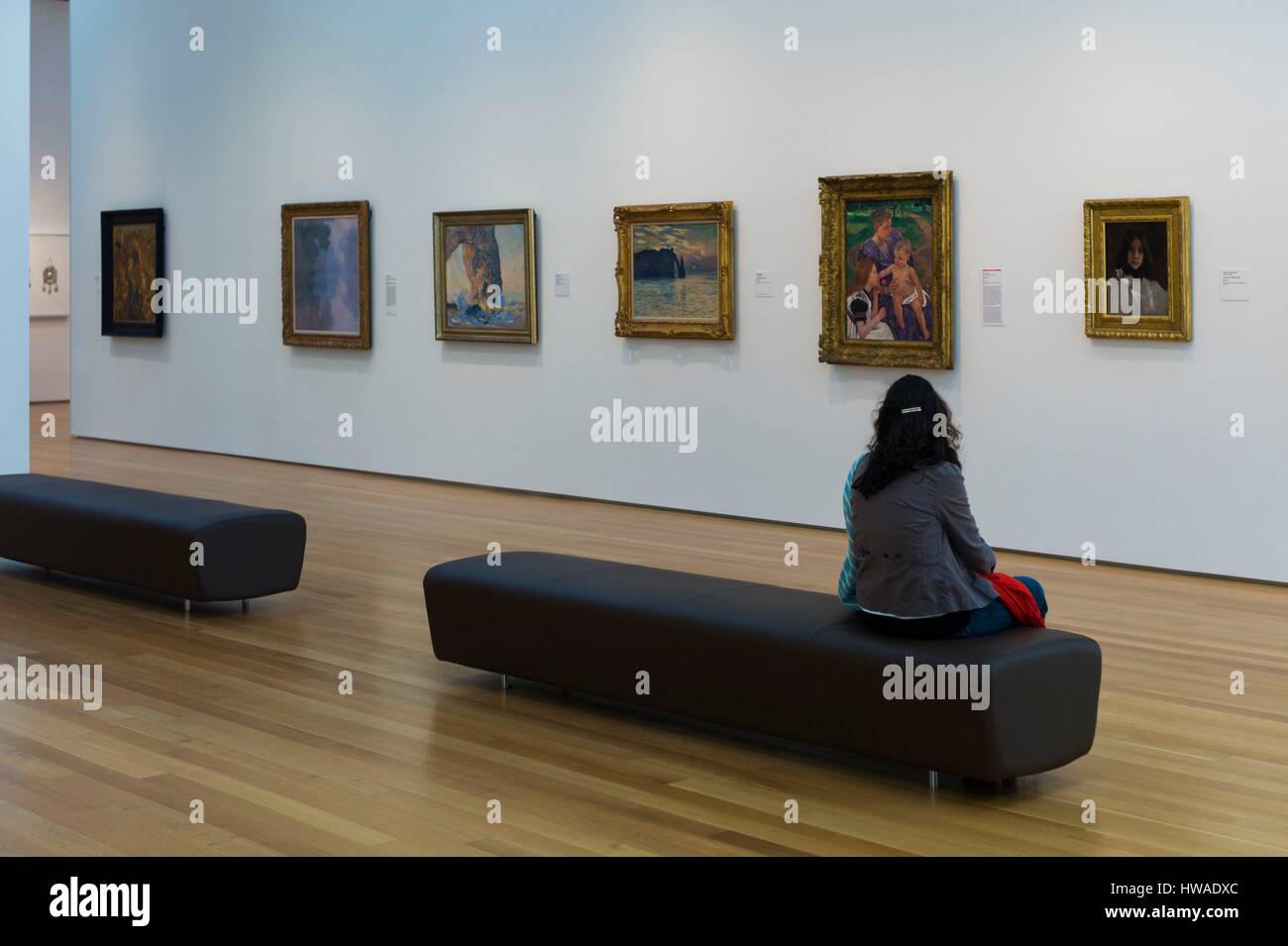 Stati Uniti, Nord Carolina, Raleigh, North Carolina Museum of Art Gallery Foto Stock