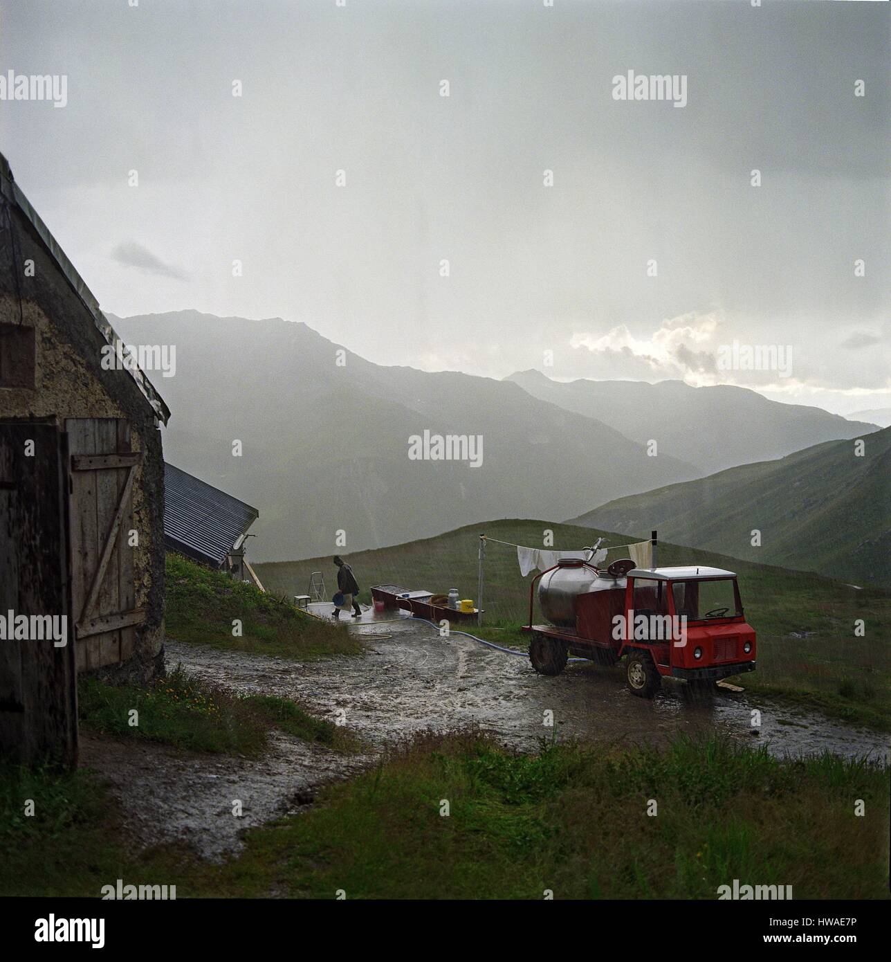 Francia, Savoie, Valle Tarentaise, Peisey Nancroix, Entre Deux Nants alto alpeggio (2275 m), il latte raccolto viene trasportato in una vasca di latte, Foto Stock