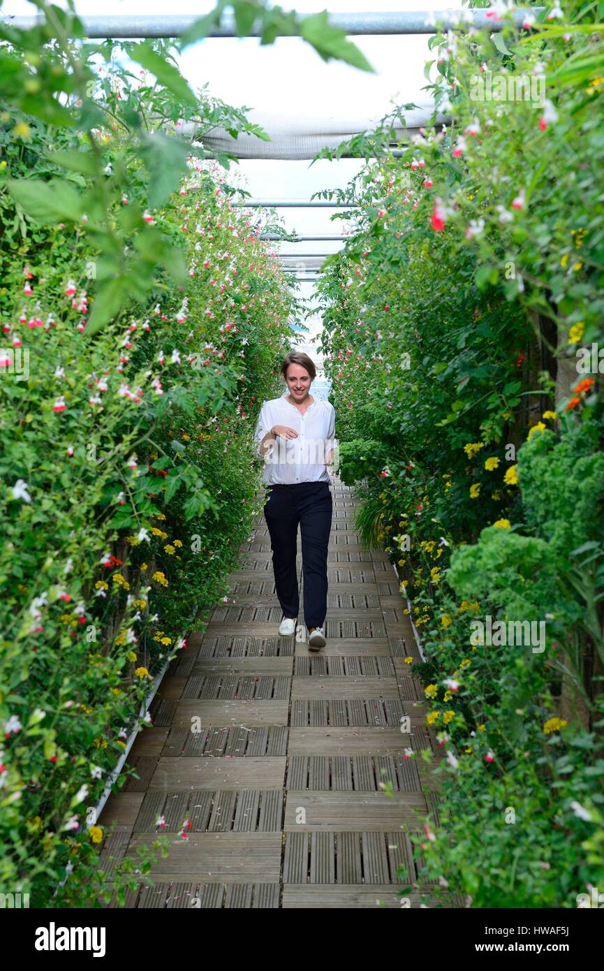 Francia, Parigi, Hausmann bvd, il giardino delle Galeries Lafayette store tetto, 1000 m2 di soilless cultura, urban greening progetto dedicato per il cul Foto Stock