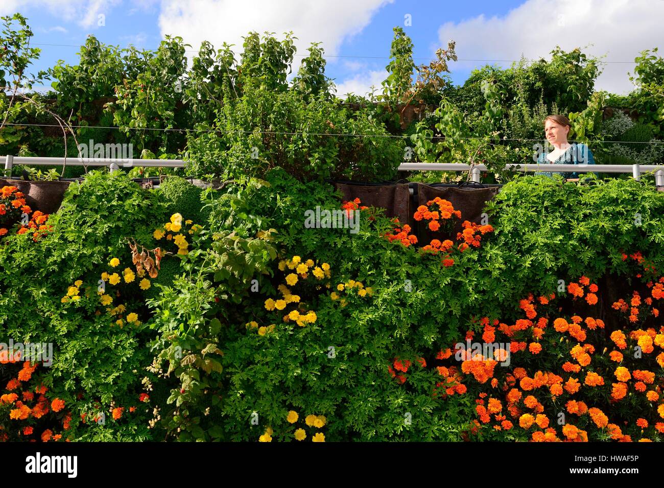 Francia, Parigi, Hausmann bvd, il giardino delle Galeries Lafayette store tetto, 1000 m2 di soilless cultura, urban greening progetto dedicato per il cul Foto Stock