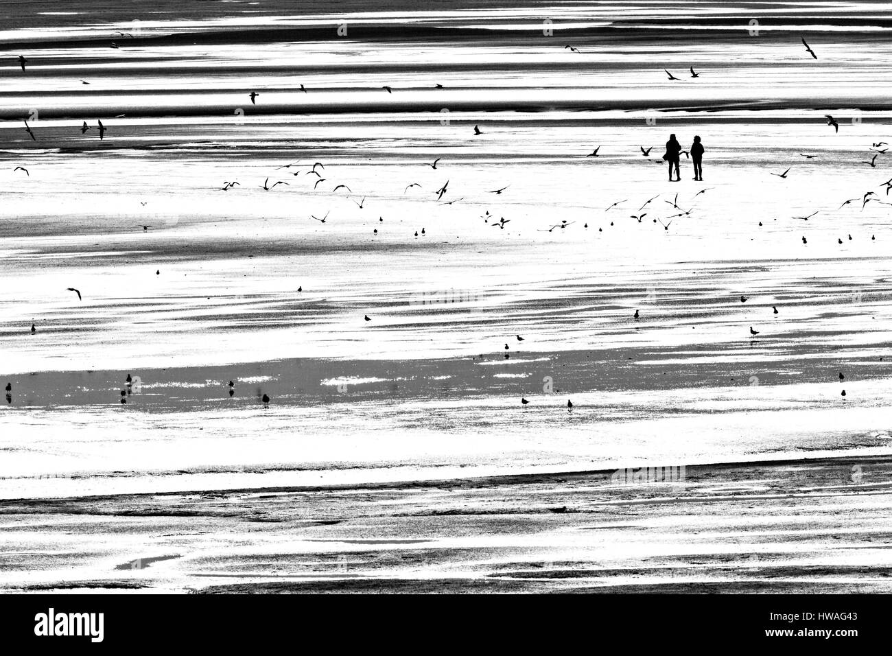 Francia, Somme, Baie de Somme Le Crotoy, delle passeggiate sulla spiaggia con la bassa marea Foto Stock