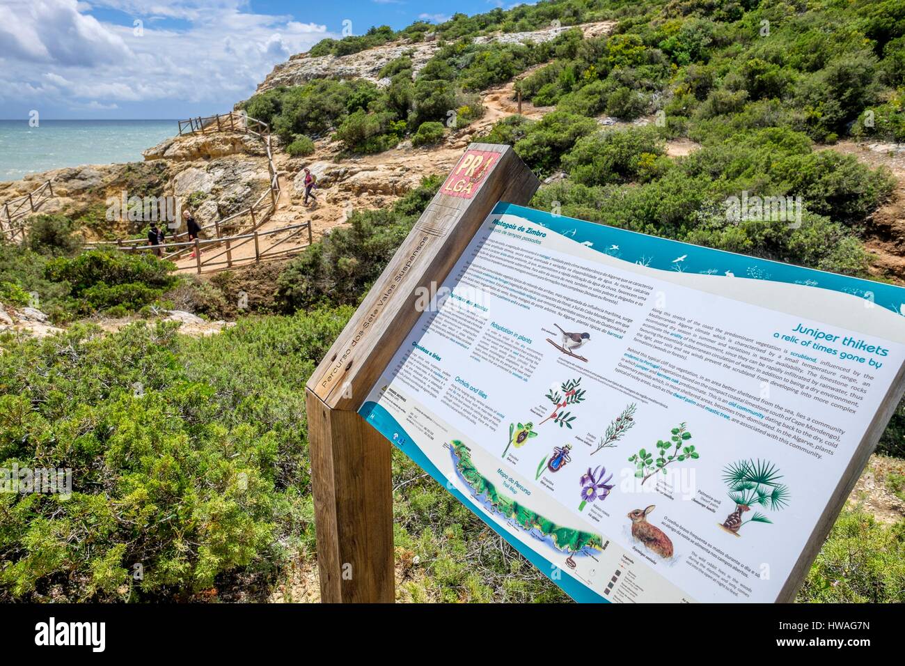 Il Portogallo, regione di Algarve, sul sentiero Percurso dos Sete Vales Suspensos, 6 km di sentiero costiero da Carvoeiro a Praia Marinha Foto Stock