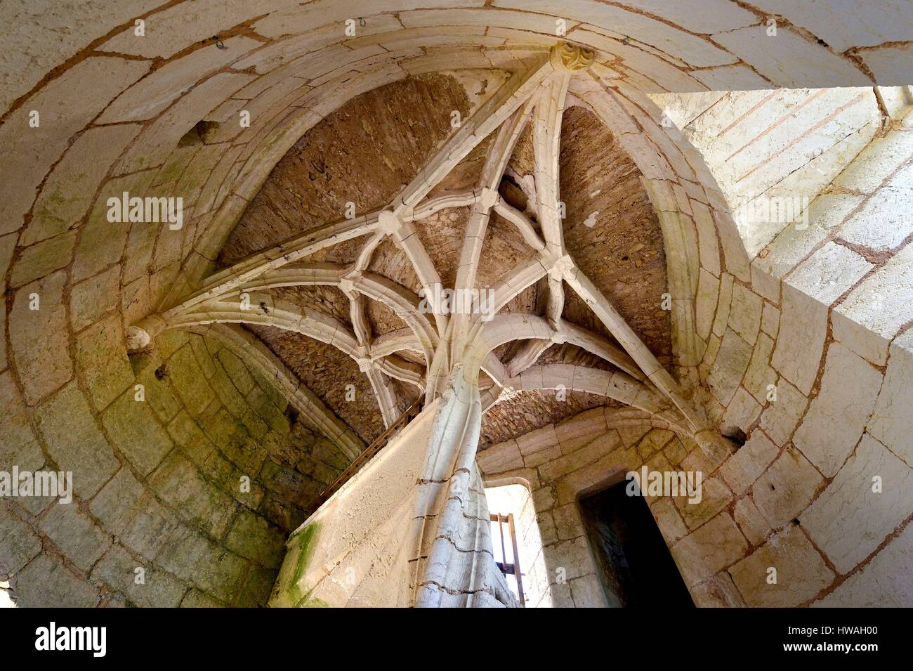 Francia, Dordogne, Rouffignac-Saint-Cernin de Reilhac, Herm Castello, la scala a spirale che culmina in una pietra di Palm Foto Stock